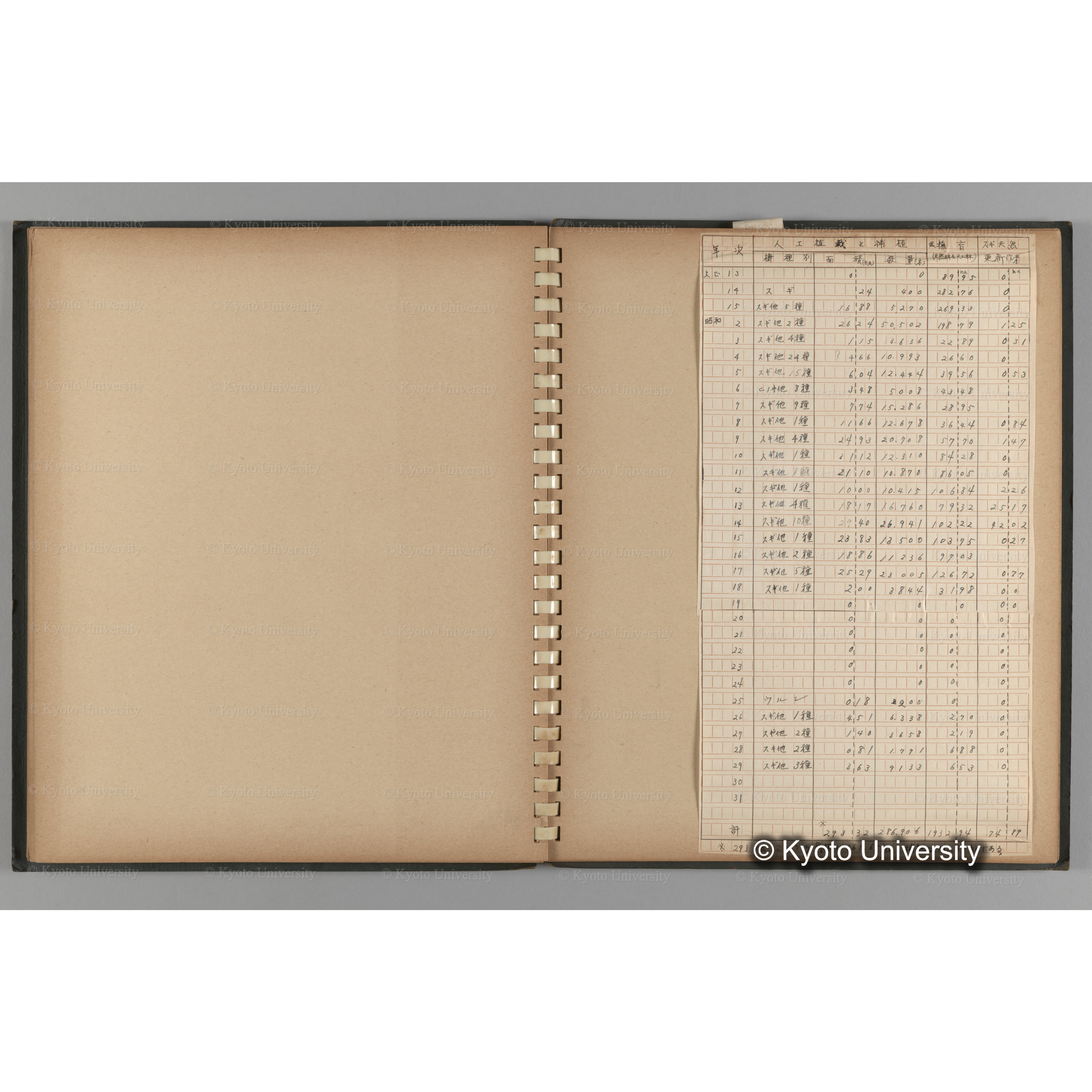 [国内演習林緑アルバム1957(緑色表紙)] PHOTO ALBUM (ラベル)「No.2 芦生演習林」. (12)