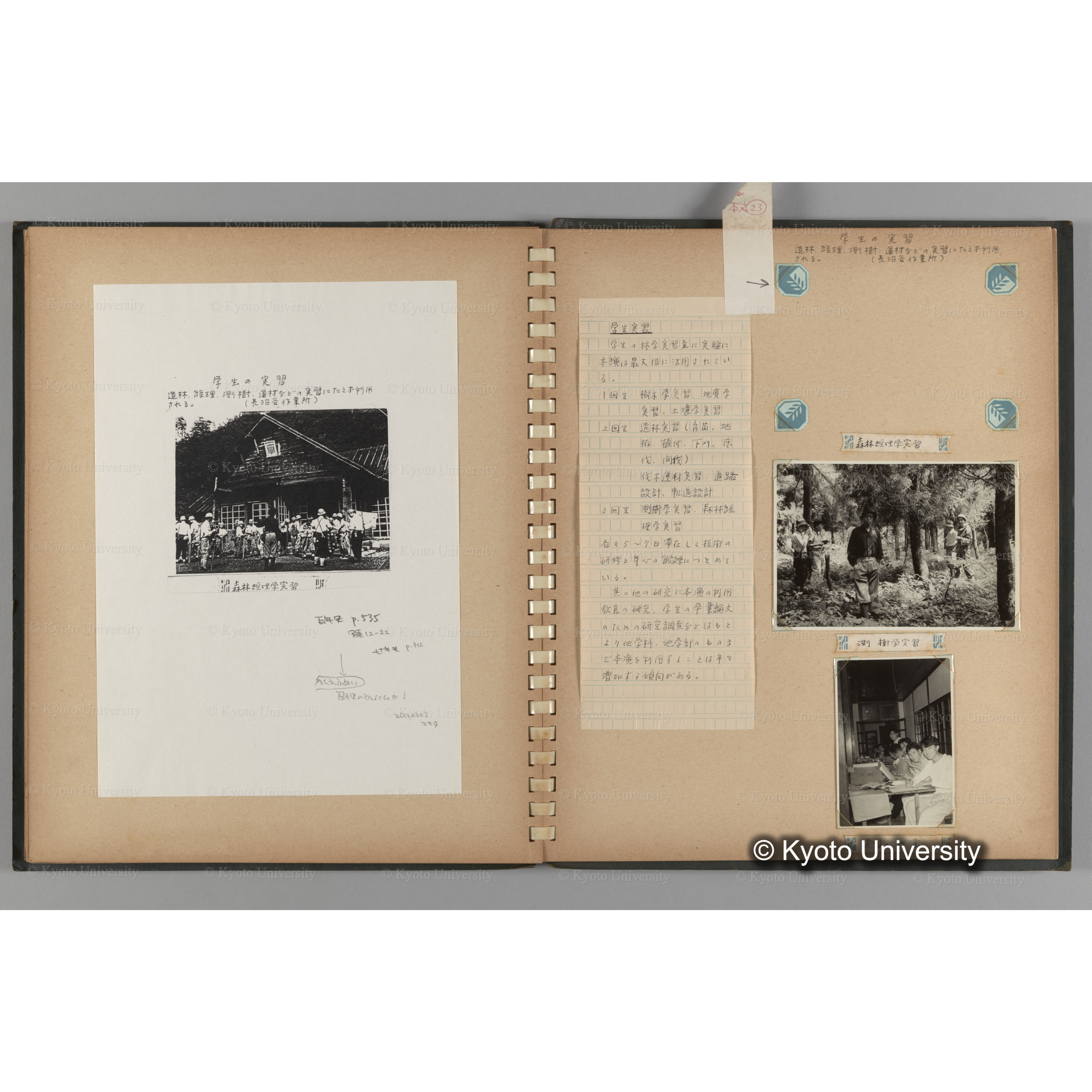 [国内演習林緑アルバム1957(緑色表紙)] PHOTO ALBUM (ラベル)「No.2 芦生演習林」. (16)