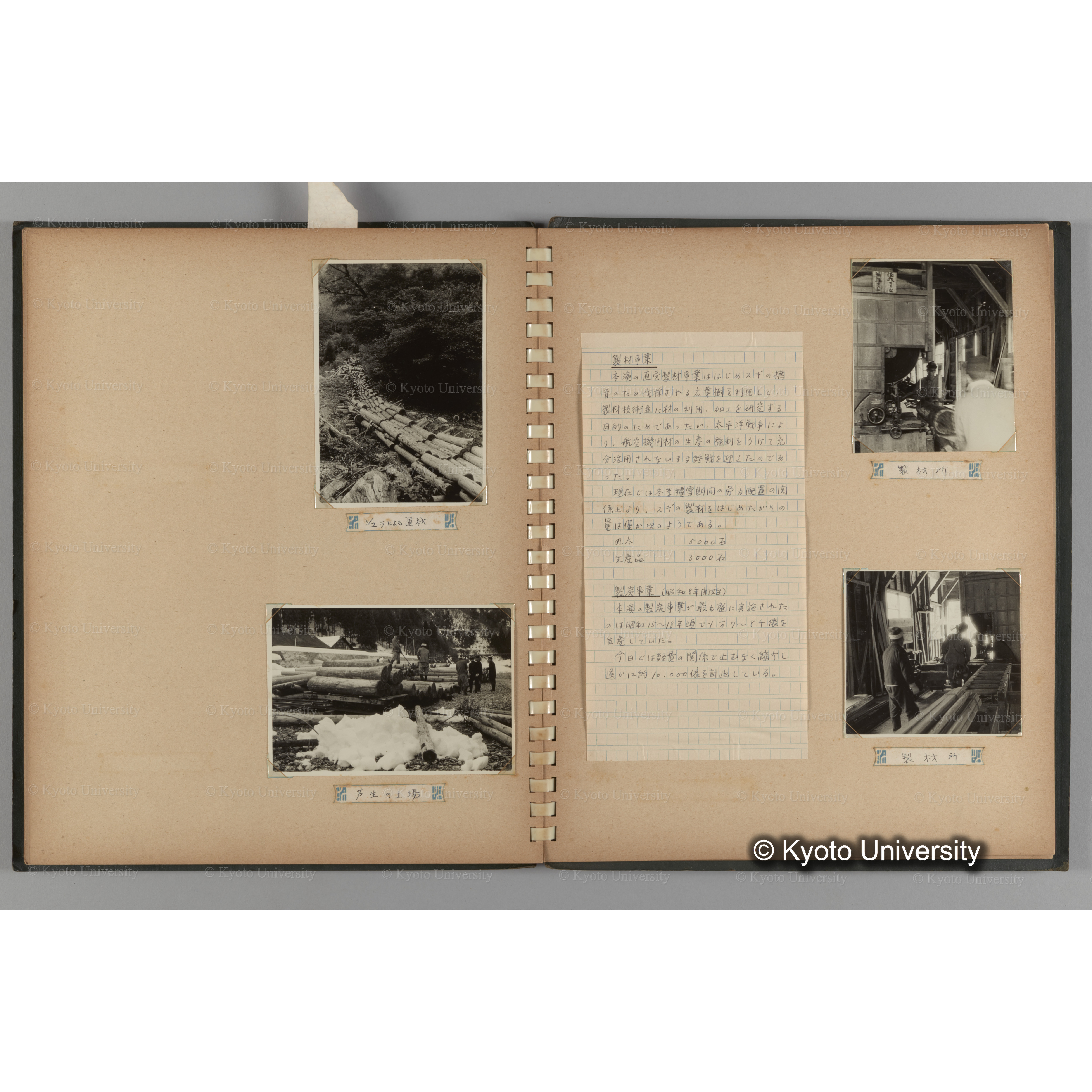 [国内演習林緑アルバム1957(緑色表紙)] PHOTO ALBUM (ラベル)「No.2 芦生演習林」. (17)