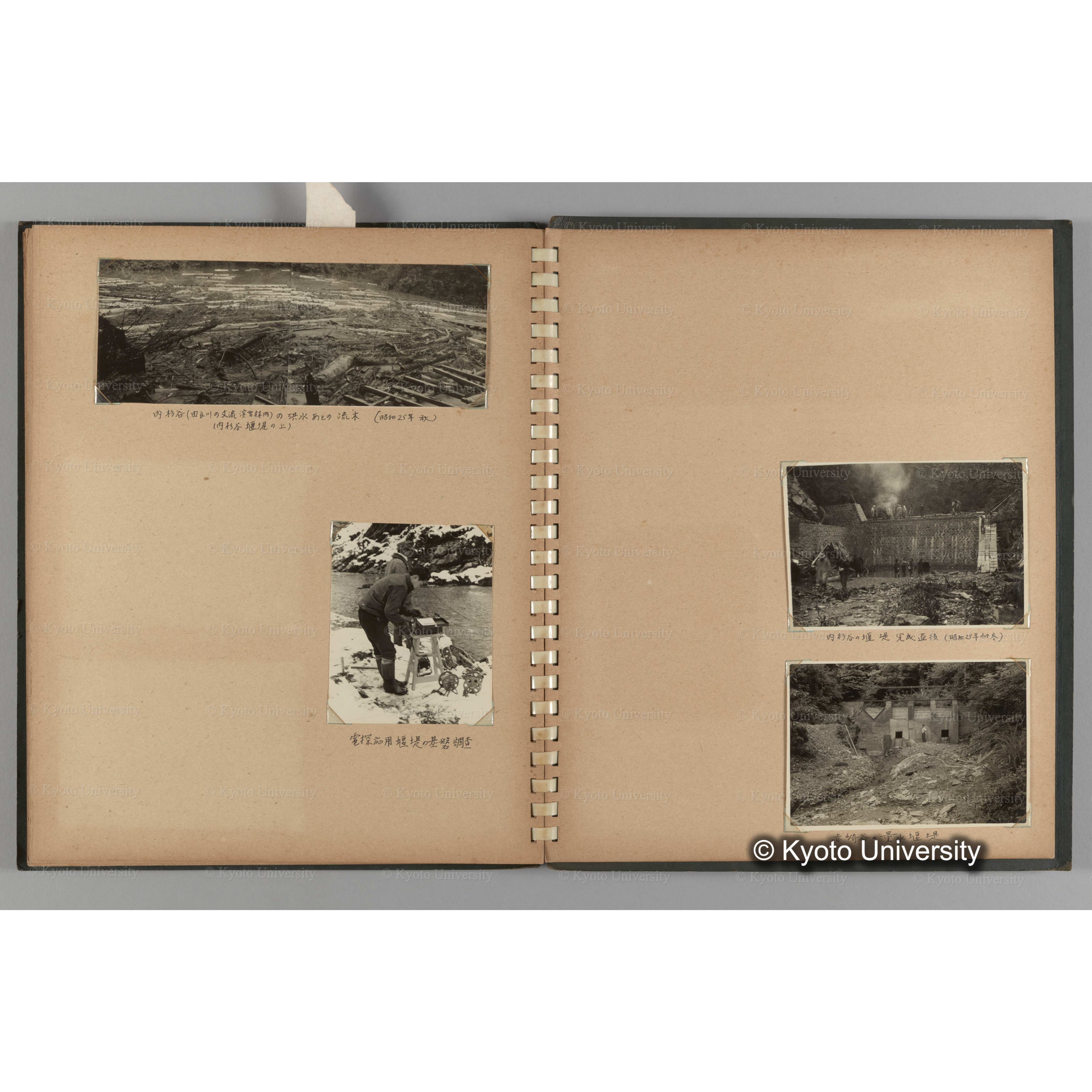 [国内演習林緑アルバム1957(緑色表紙)] PHOTO ALBUM (ラベル)「No.2 芦生演習林」. (19)