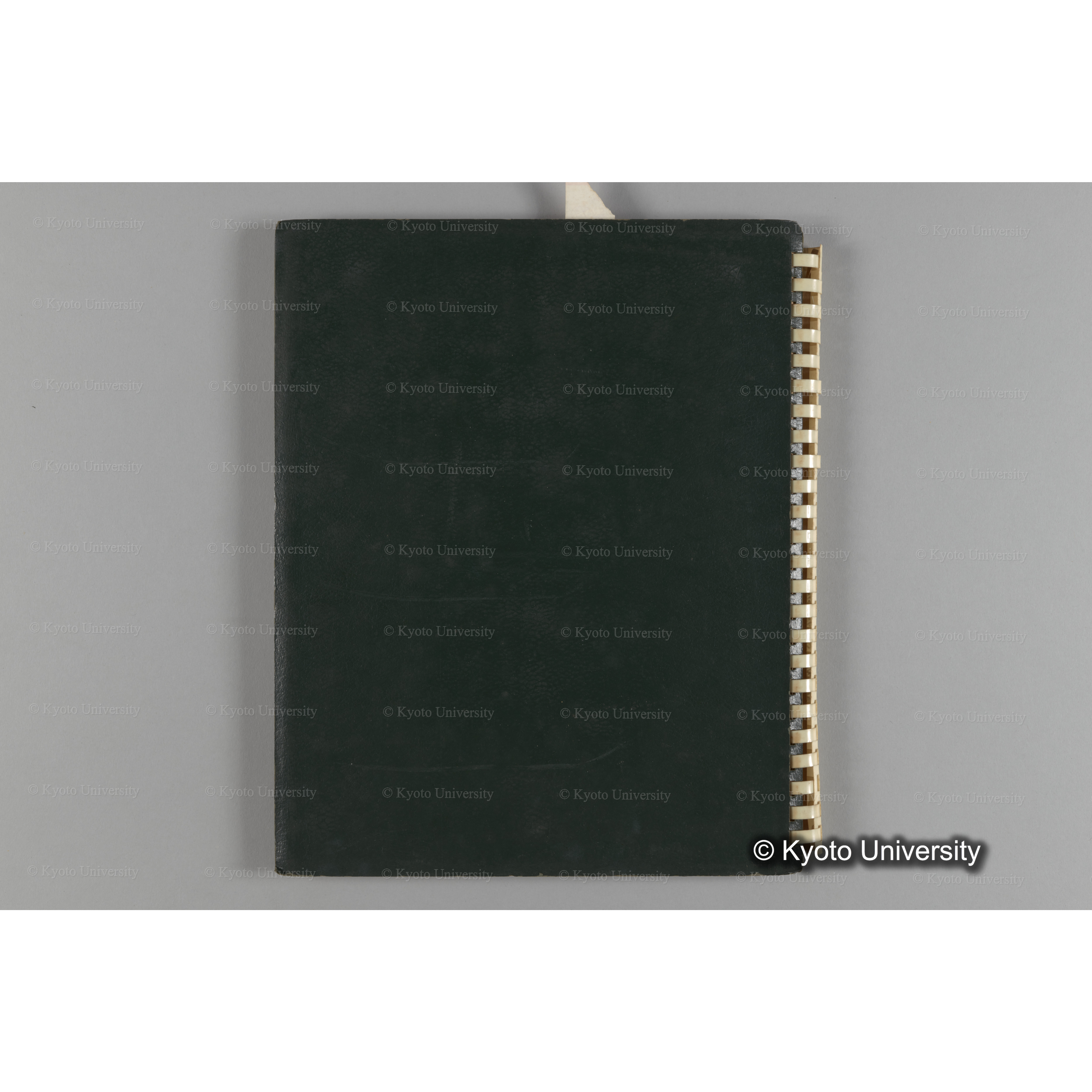 [国内演習林緑アルバム1957(緑色表紙)] PHOTO ALBUM (ラベル)「No.2 芦生演習林」. (21)