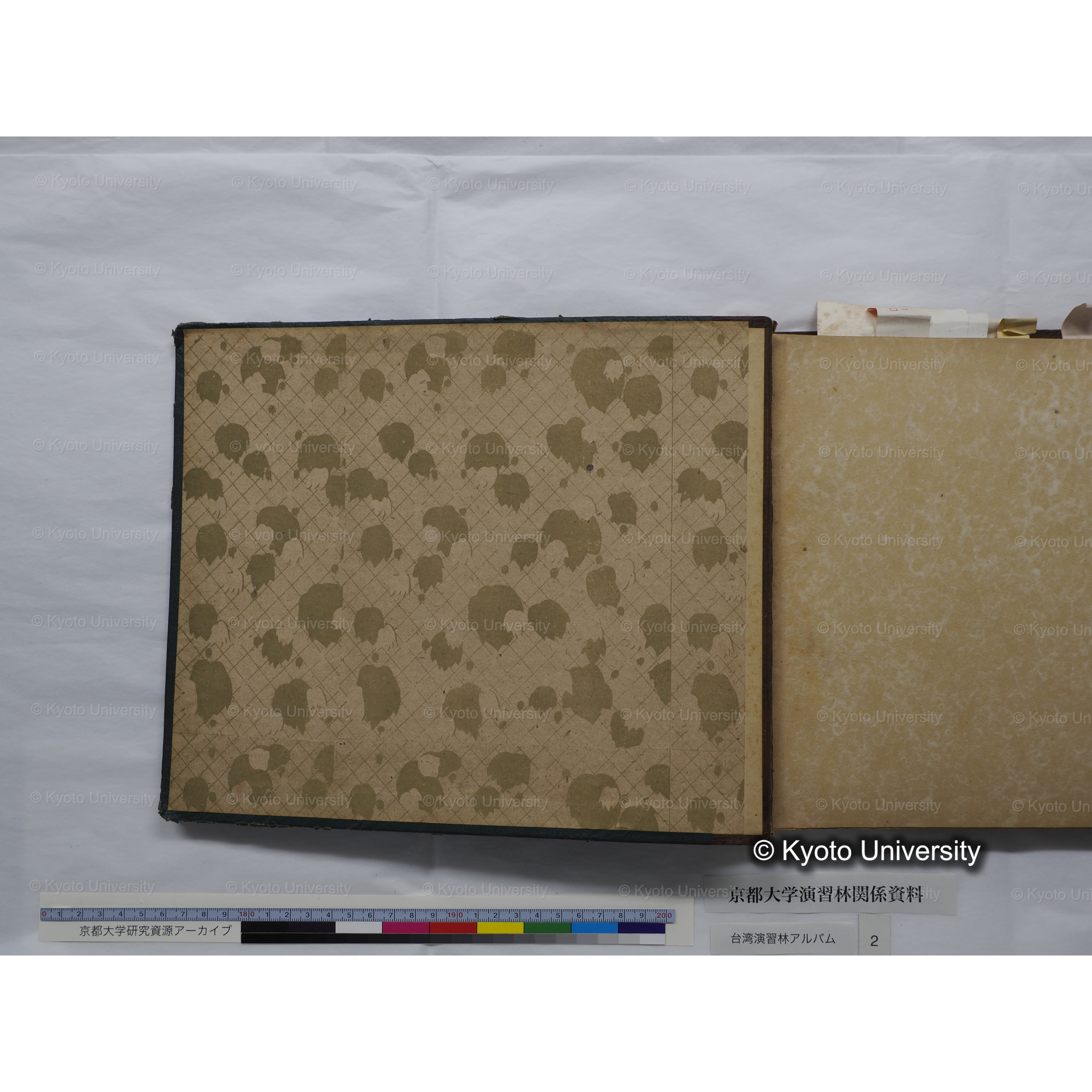 [台湾演習林アルバム(緑色表紙・赤茶色裏表紙)] (2)