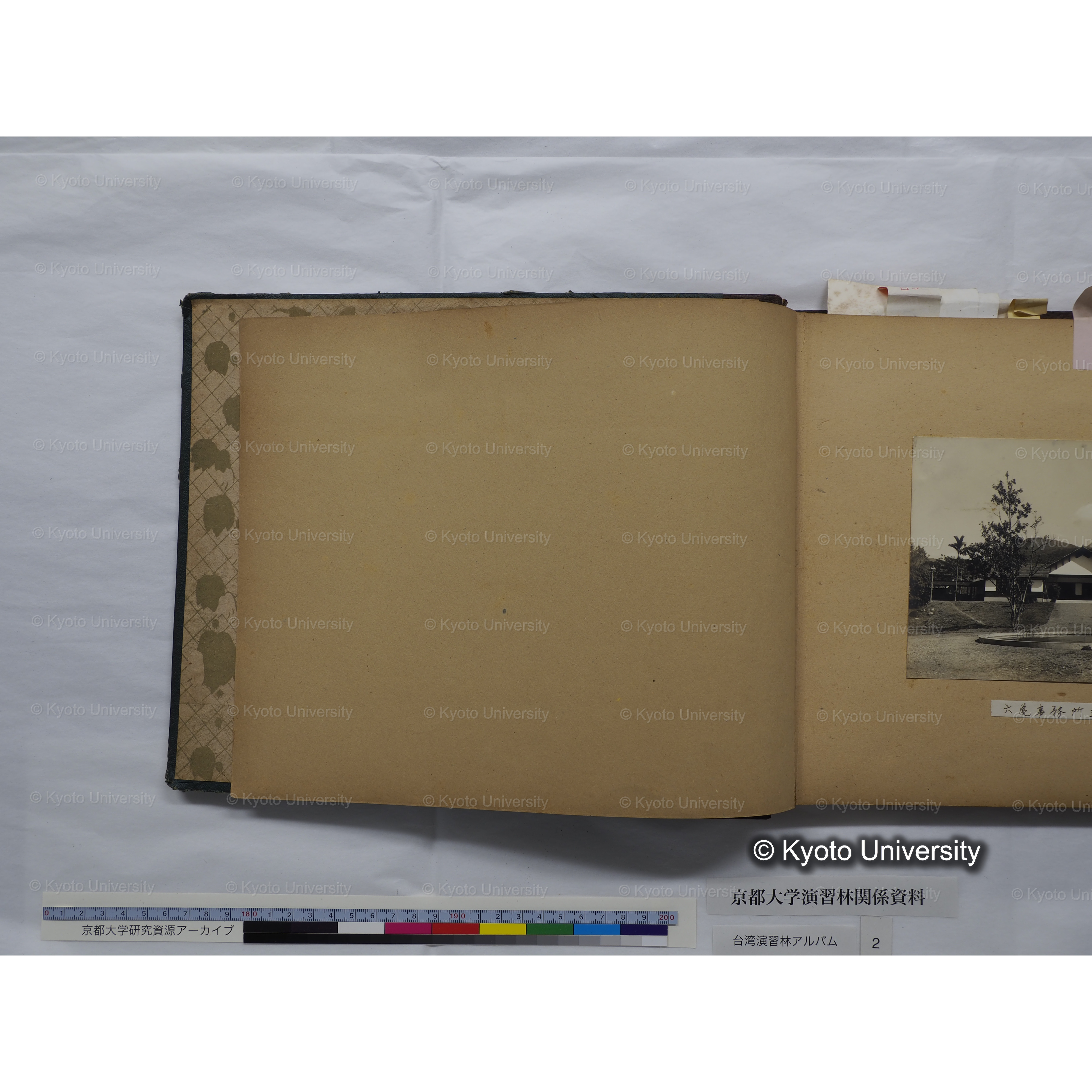 [台湾演習林アルバム(緑色表紙・赤茶色裏表紙)] (4)