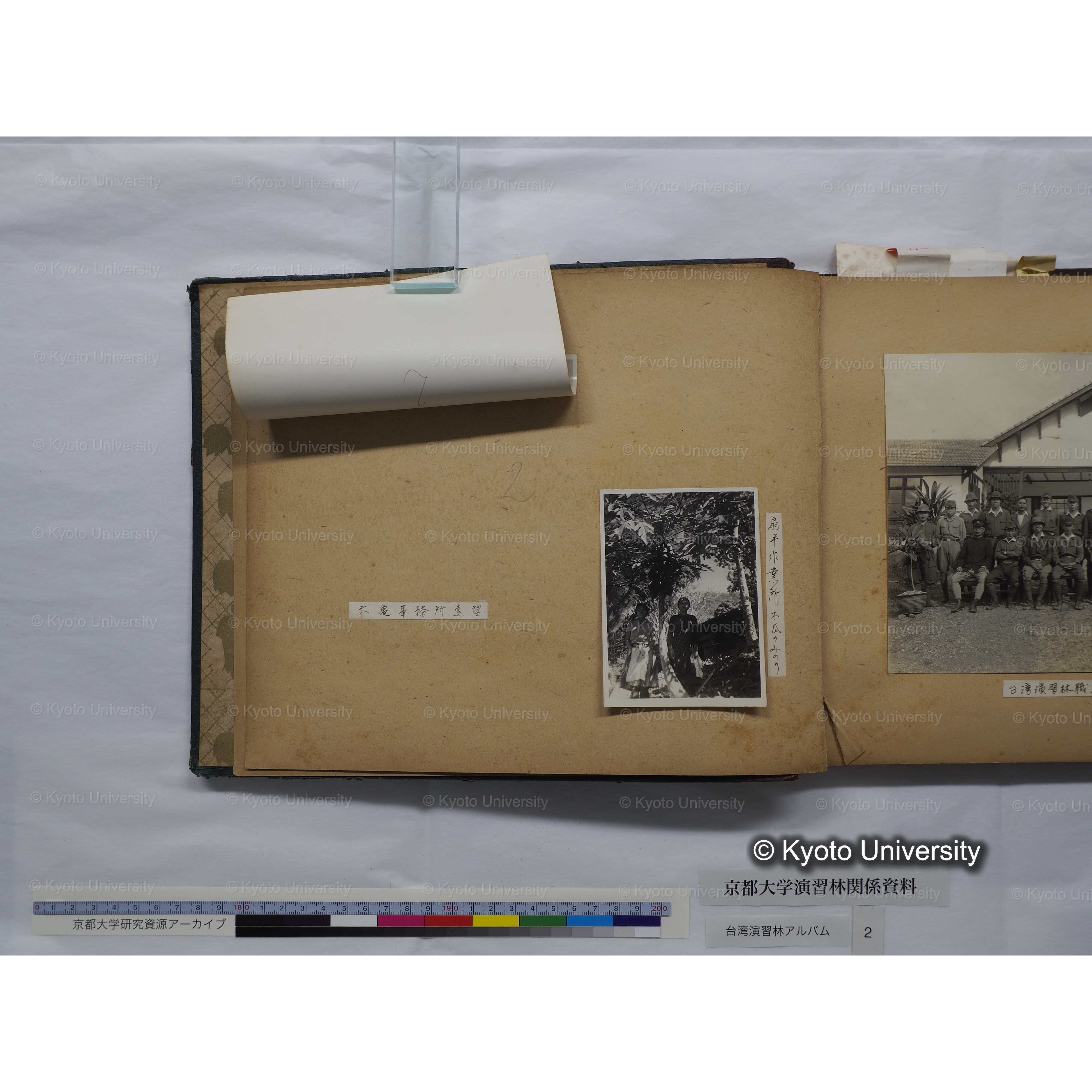 [台湾演習林アルバム(緑色表紙・赤茶色裏表紙)] (7)