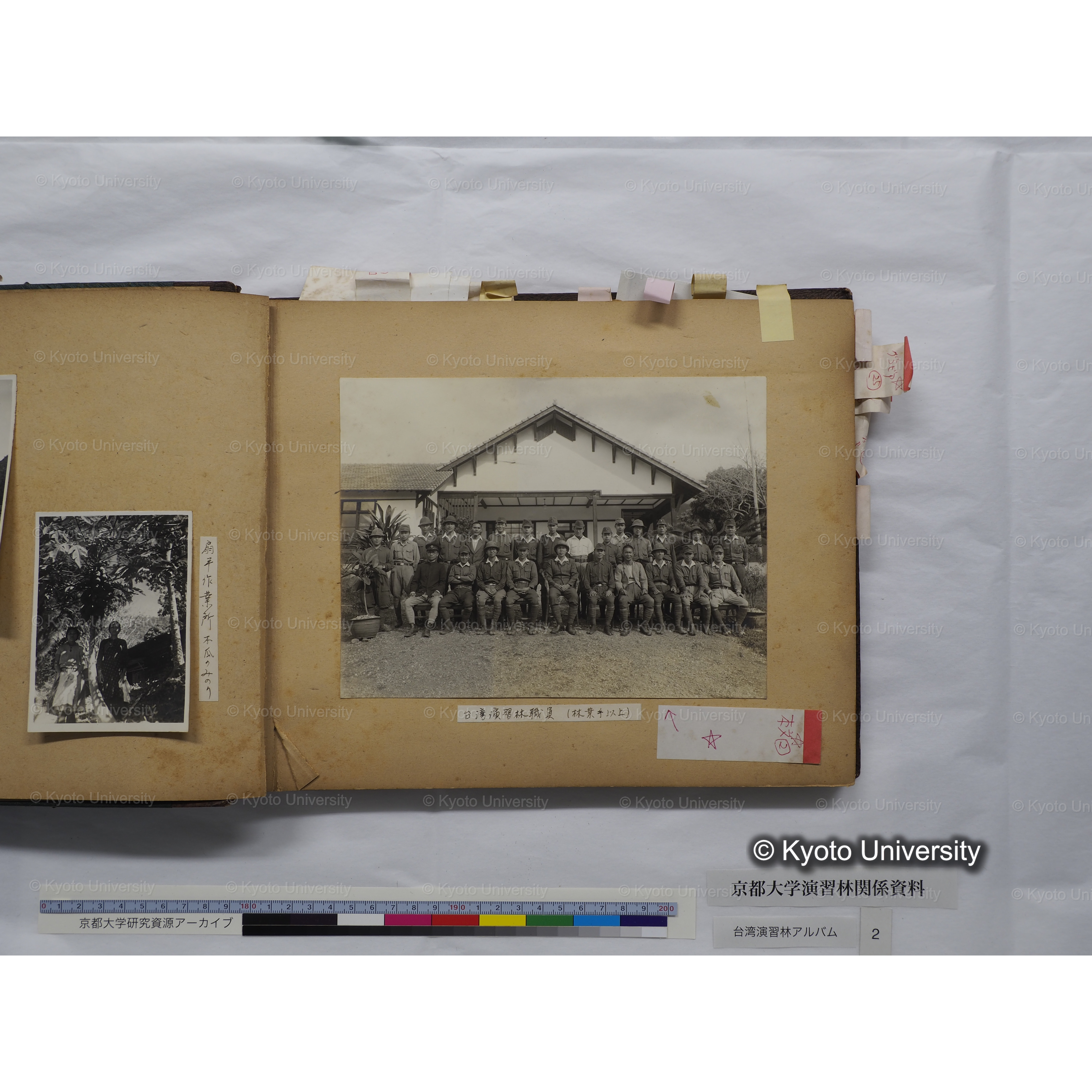 [台湾演習林アルバム(緑色表紙・赤茶色裏表紙)] (8)