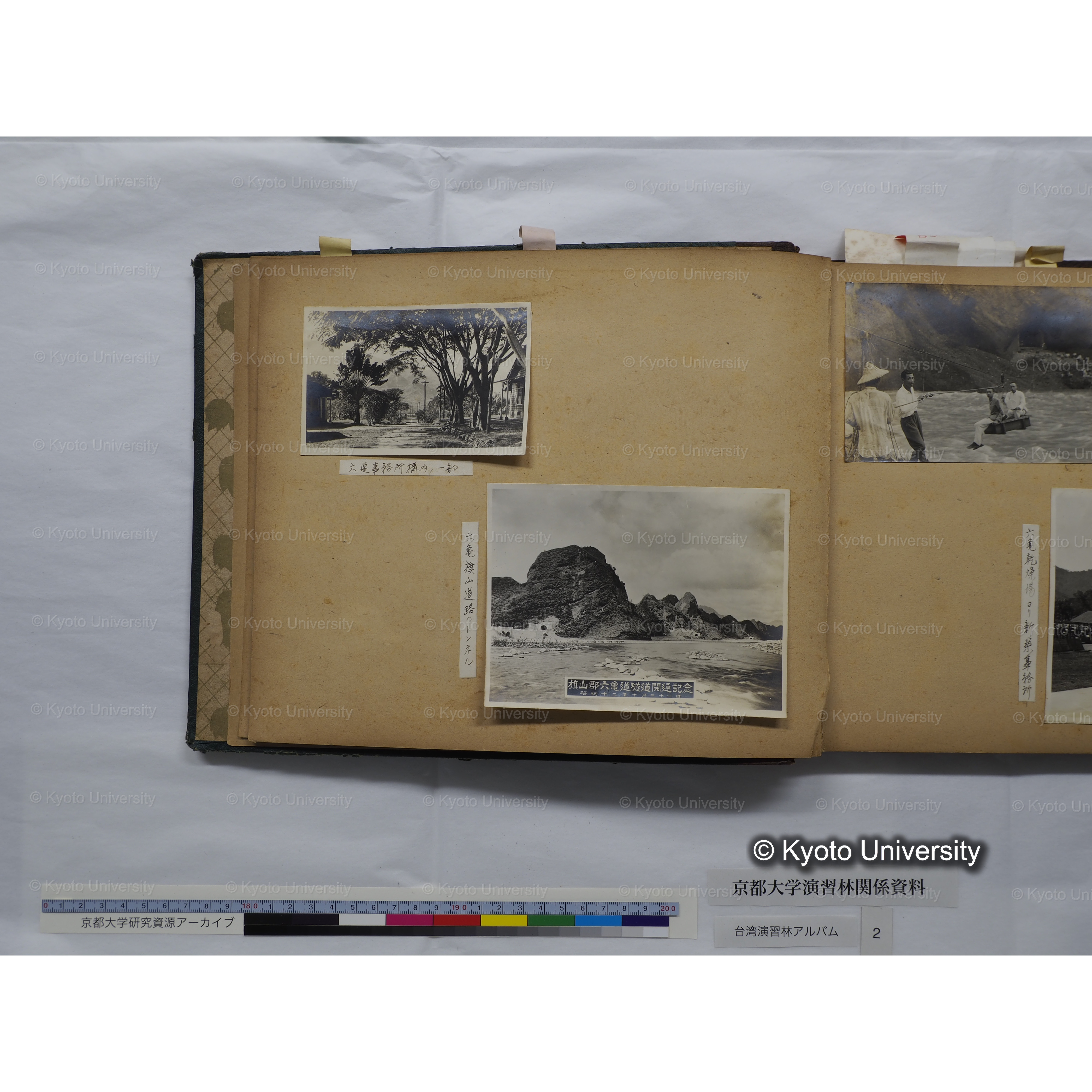 [台湾演習林アルバム(緑色表紙・赤茶色裏表紙)] (9)