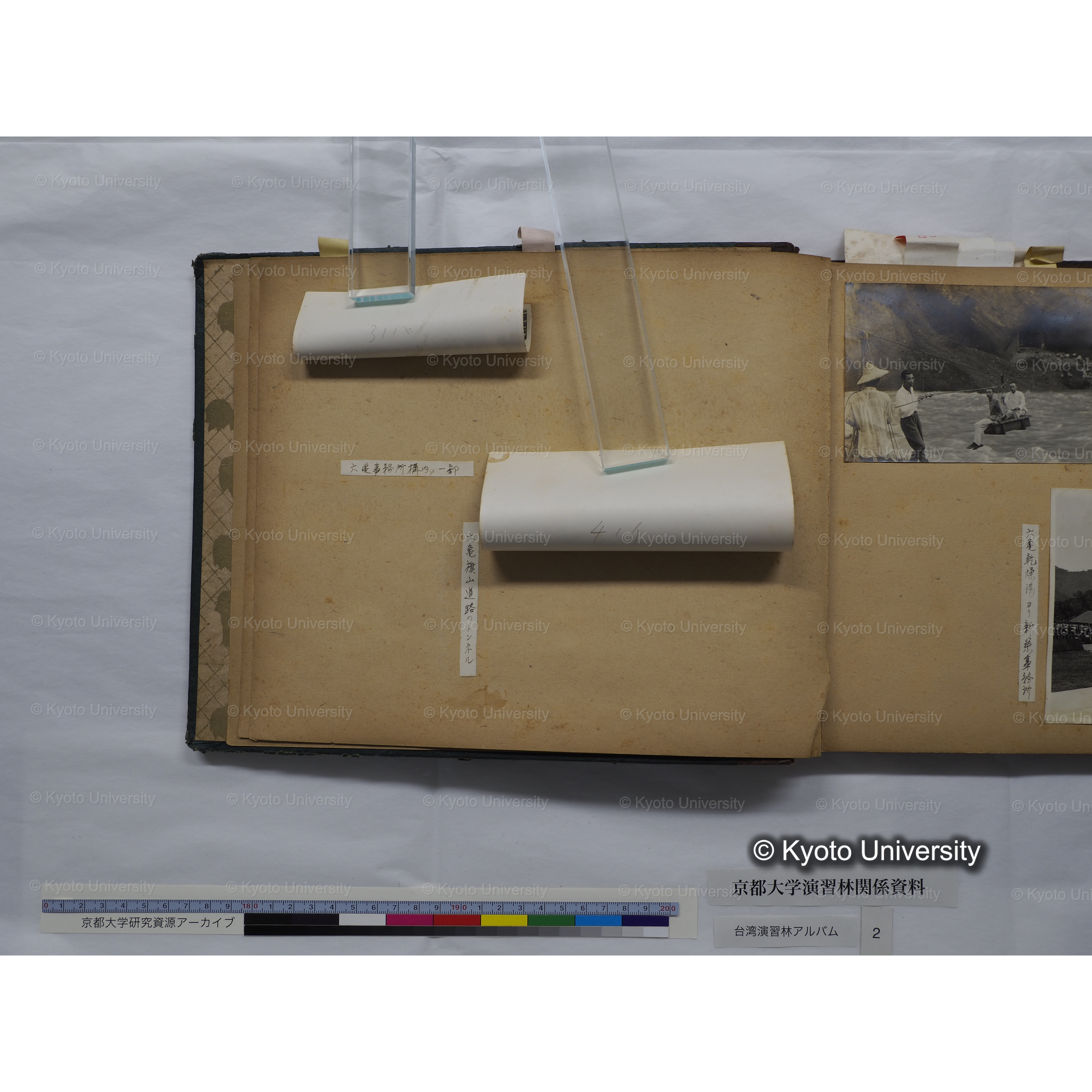 [台湾演習林アルバム(緑色表紙・赤茶色裏表紙)] (10)