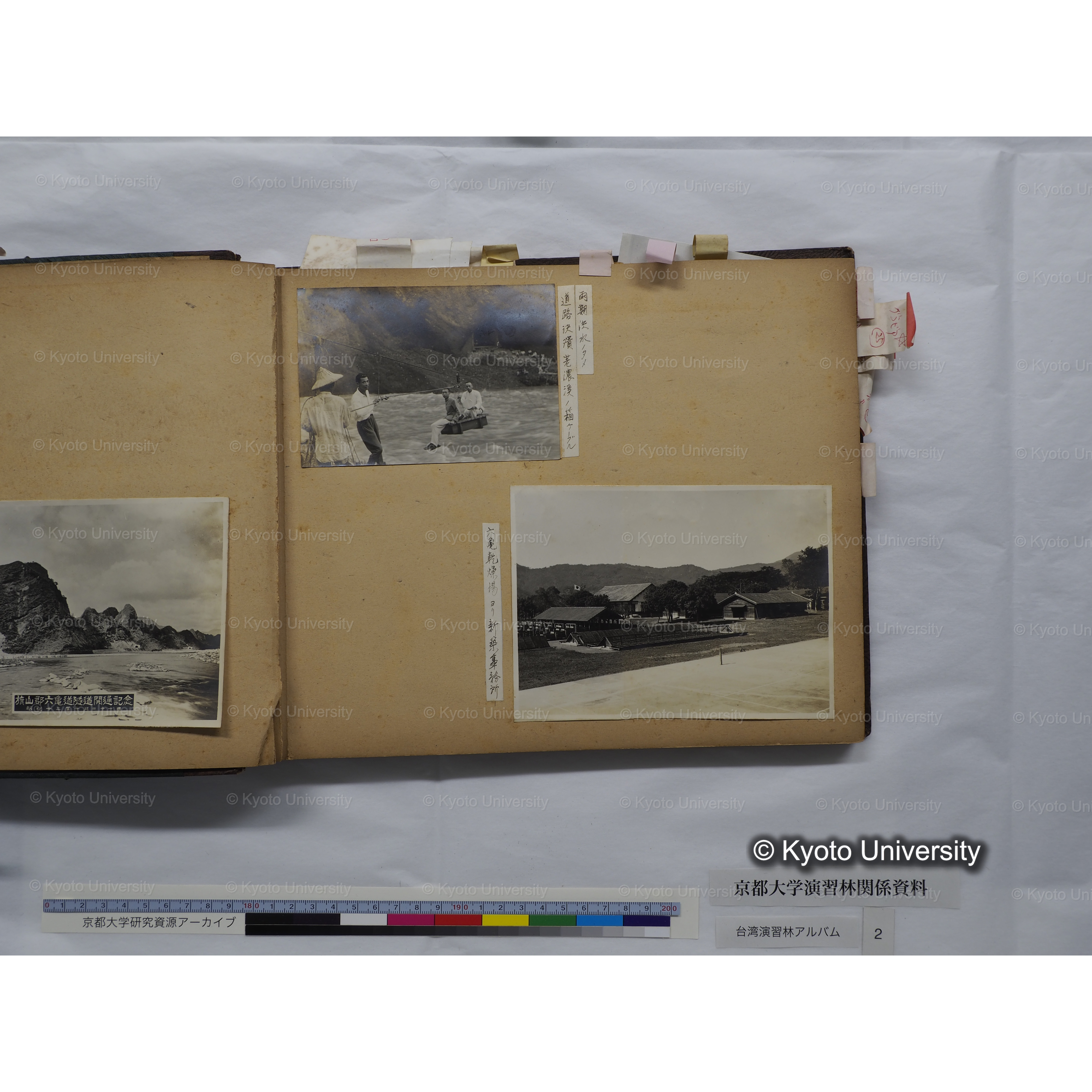 [台湾演習林アルバム(緑色表紙・赤茶色裏表紙)] (11)