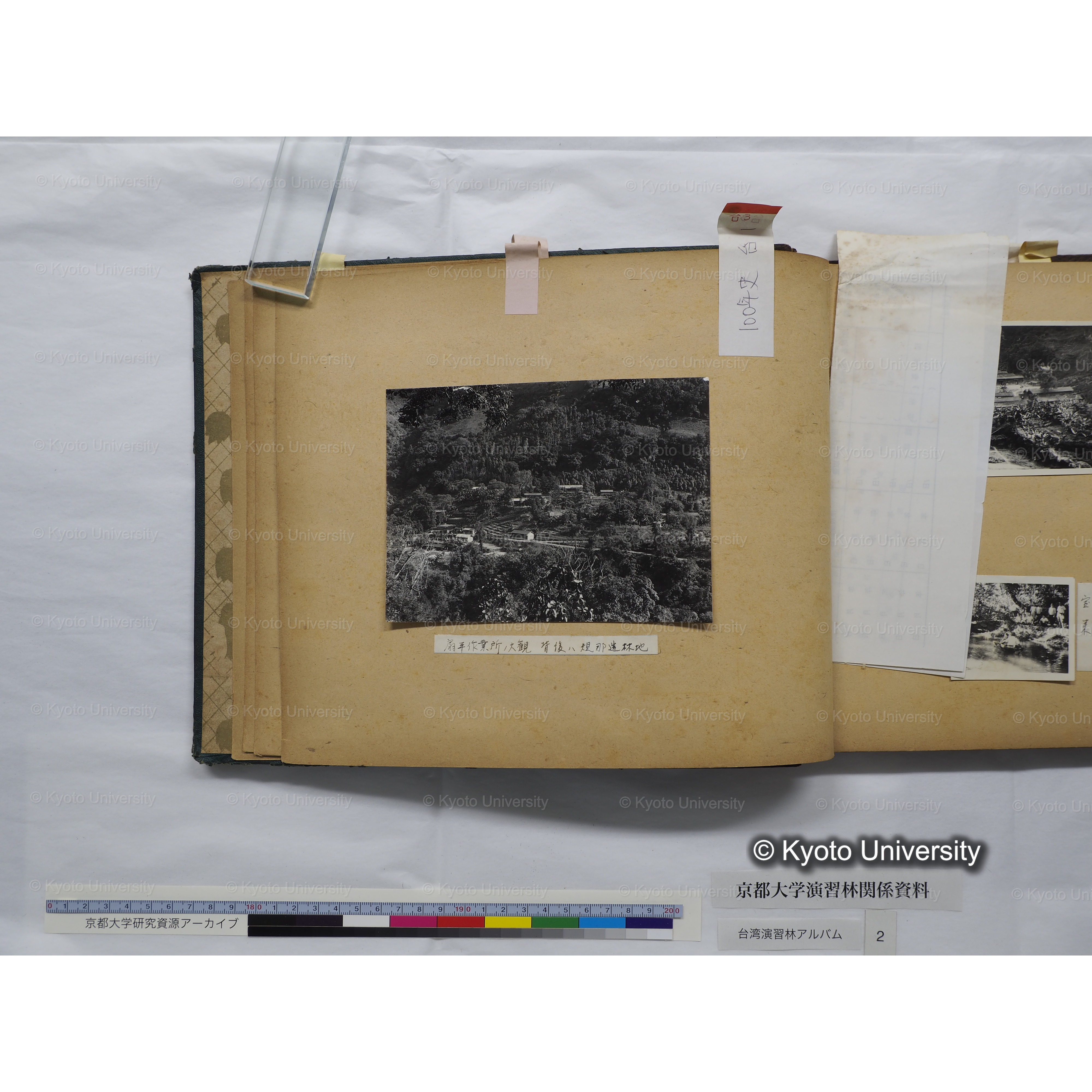 [台湾演習林アルバム(緑色表紙・赤茶色裏表紙)] (12)