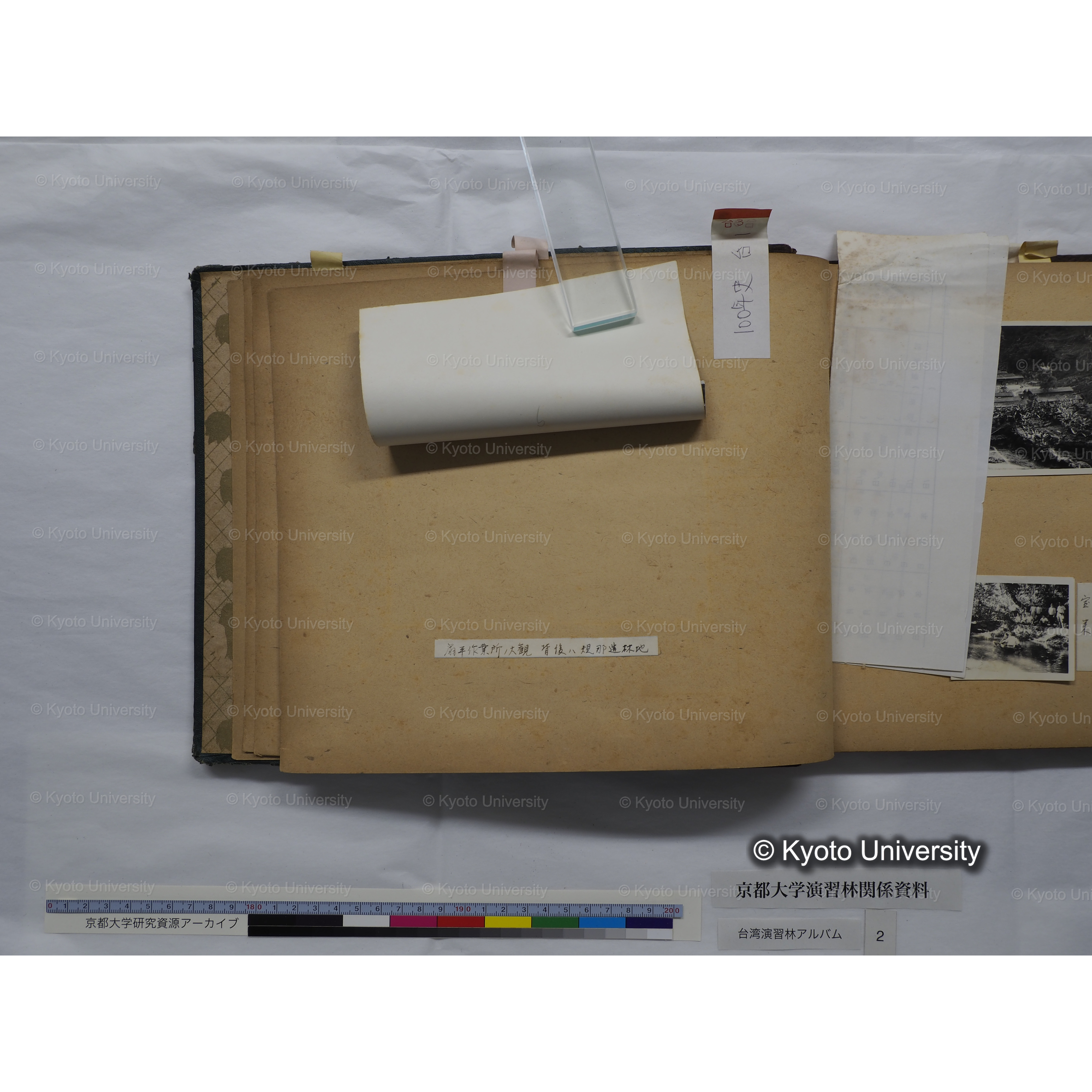 [台湾演習林アルバム(緑色表紙・赤茶色裏表紙)] (13)