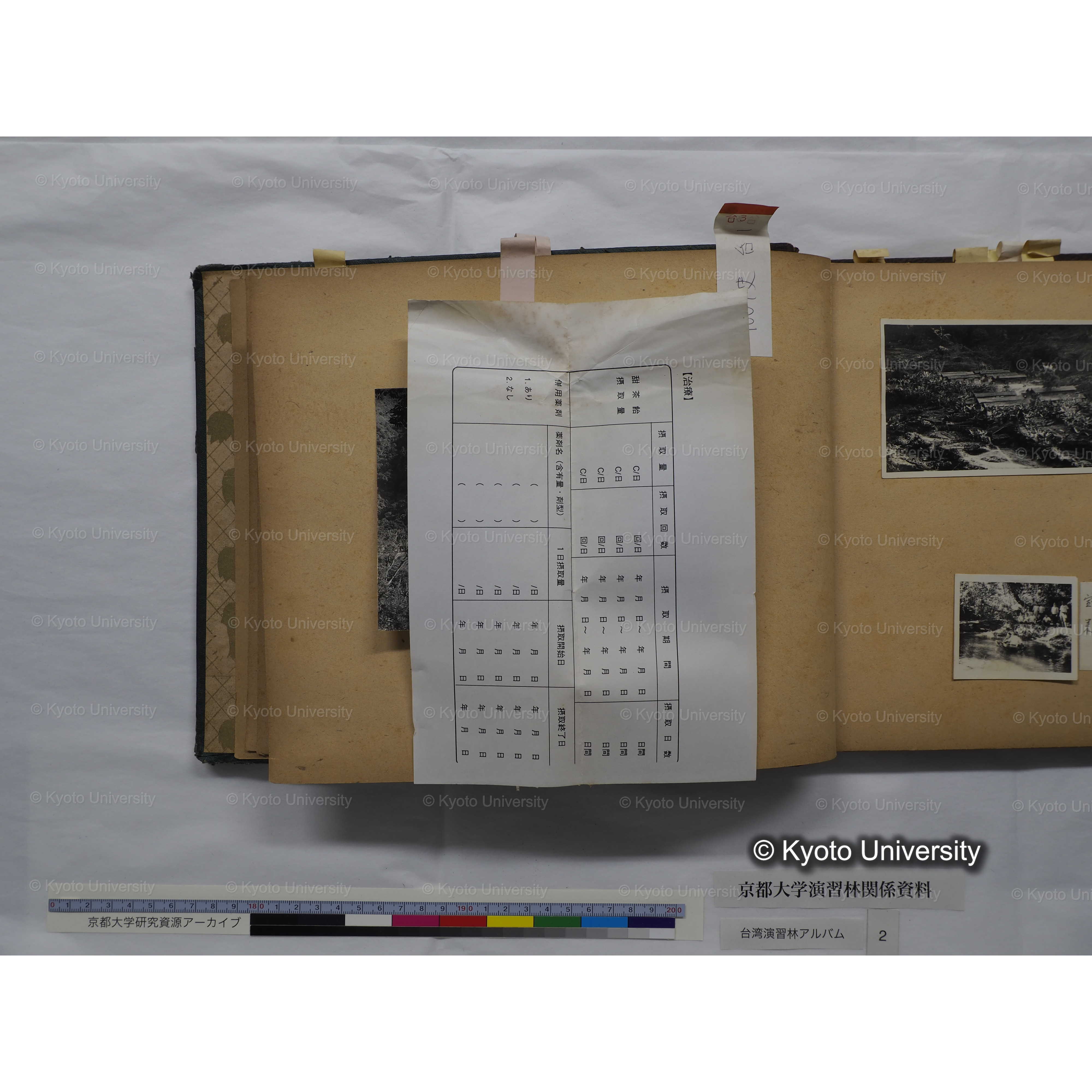 [台湾演習林アルバム(緑色表紙・赤茶色裏表紙)] (14)