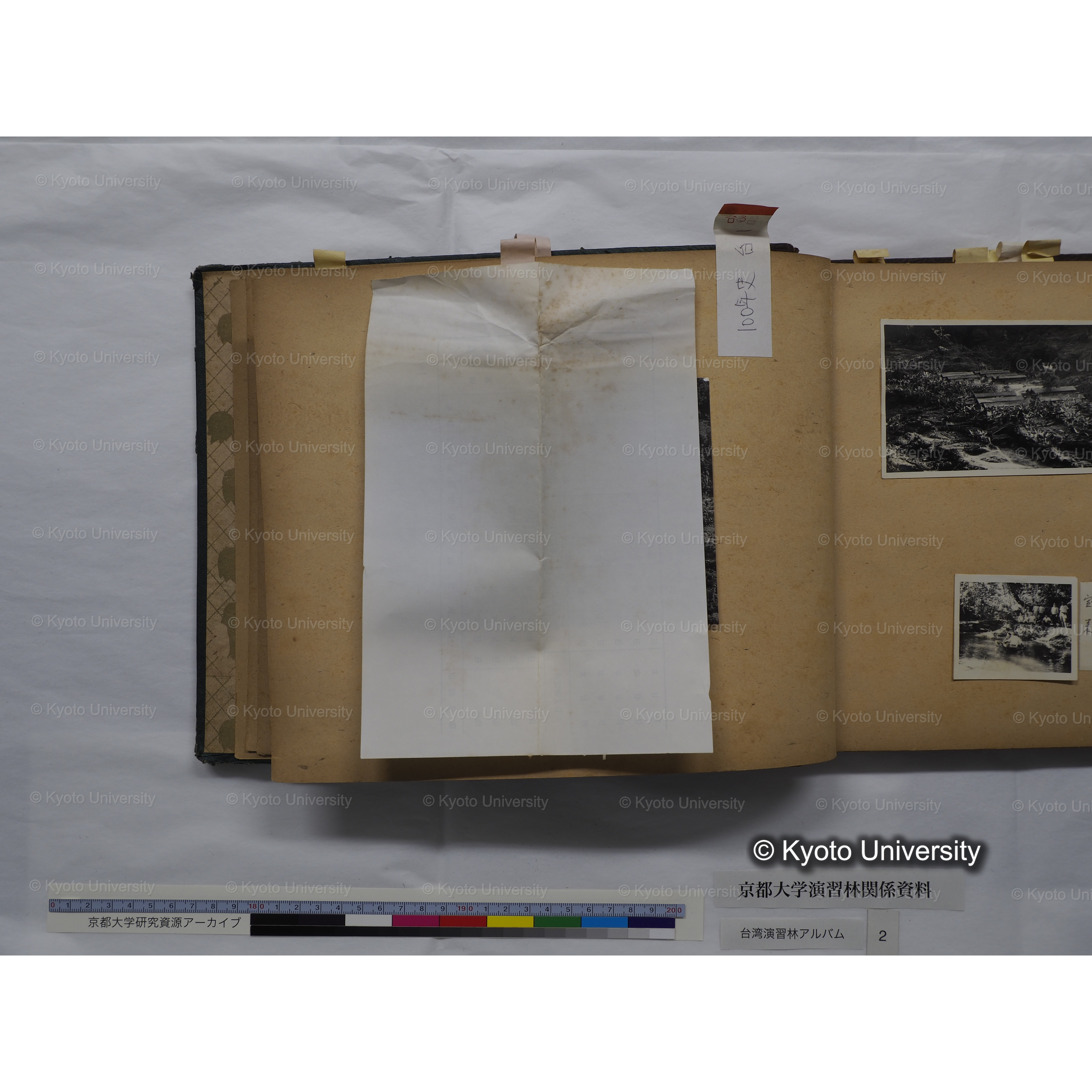 [台湾演習林アルバム(緑色表紙・赤茶色裏表紙)] (15)