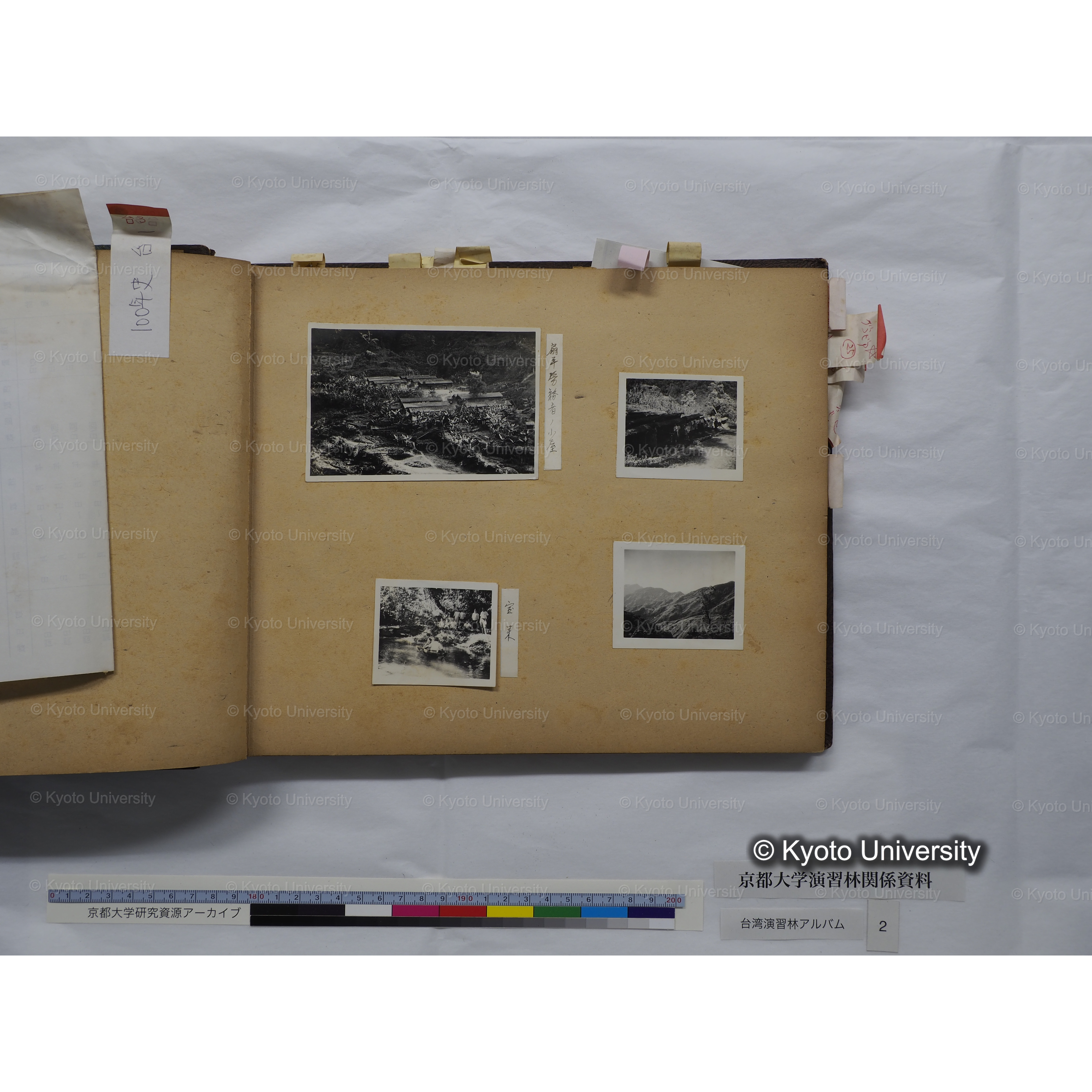 [台湾演習林アルバム(緑色表紙・赤茶色裏表紙)] (16)