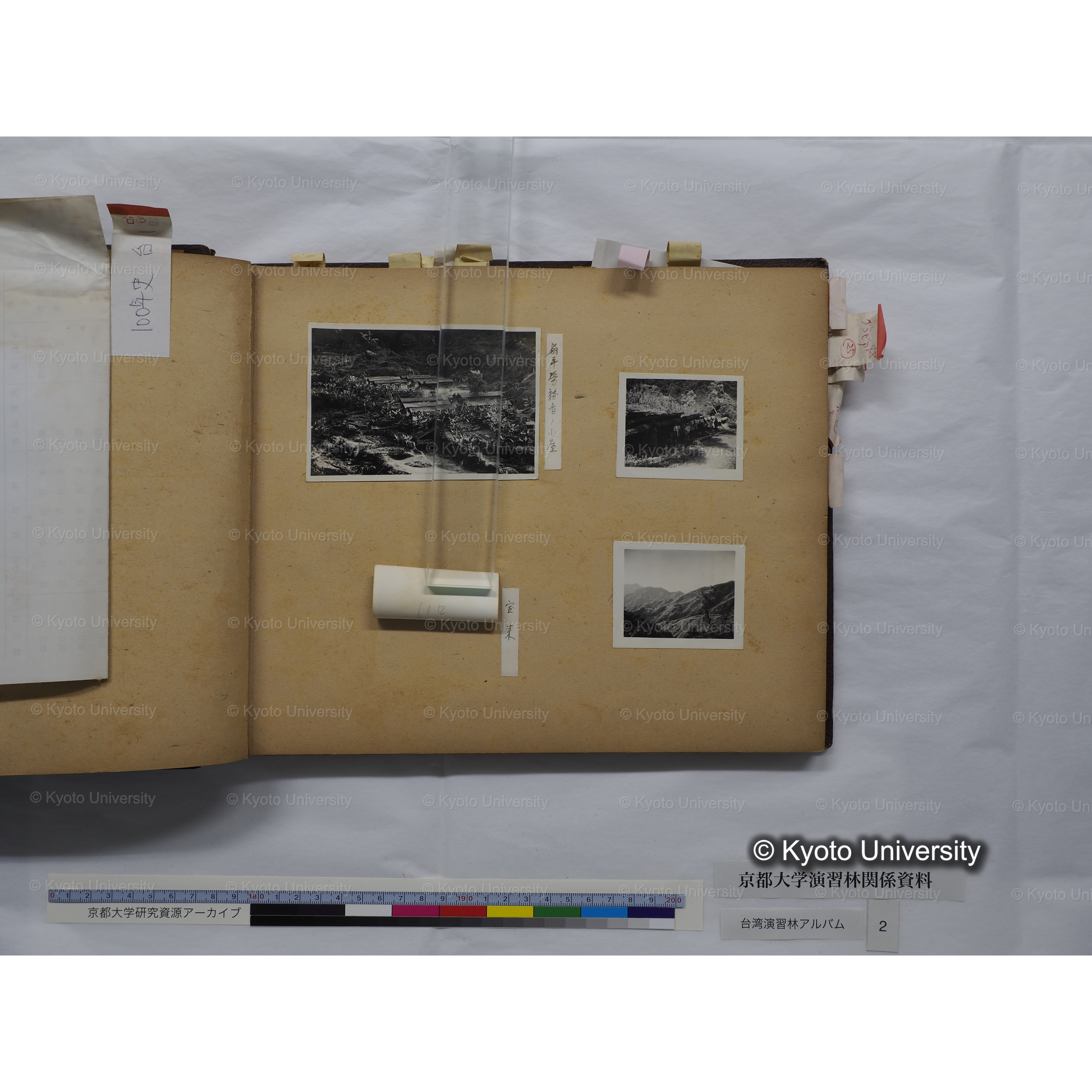 [台湾演習林アルバム(緑色表紙・赤茶色裏表紙)] (17)