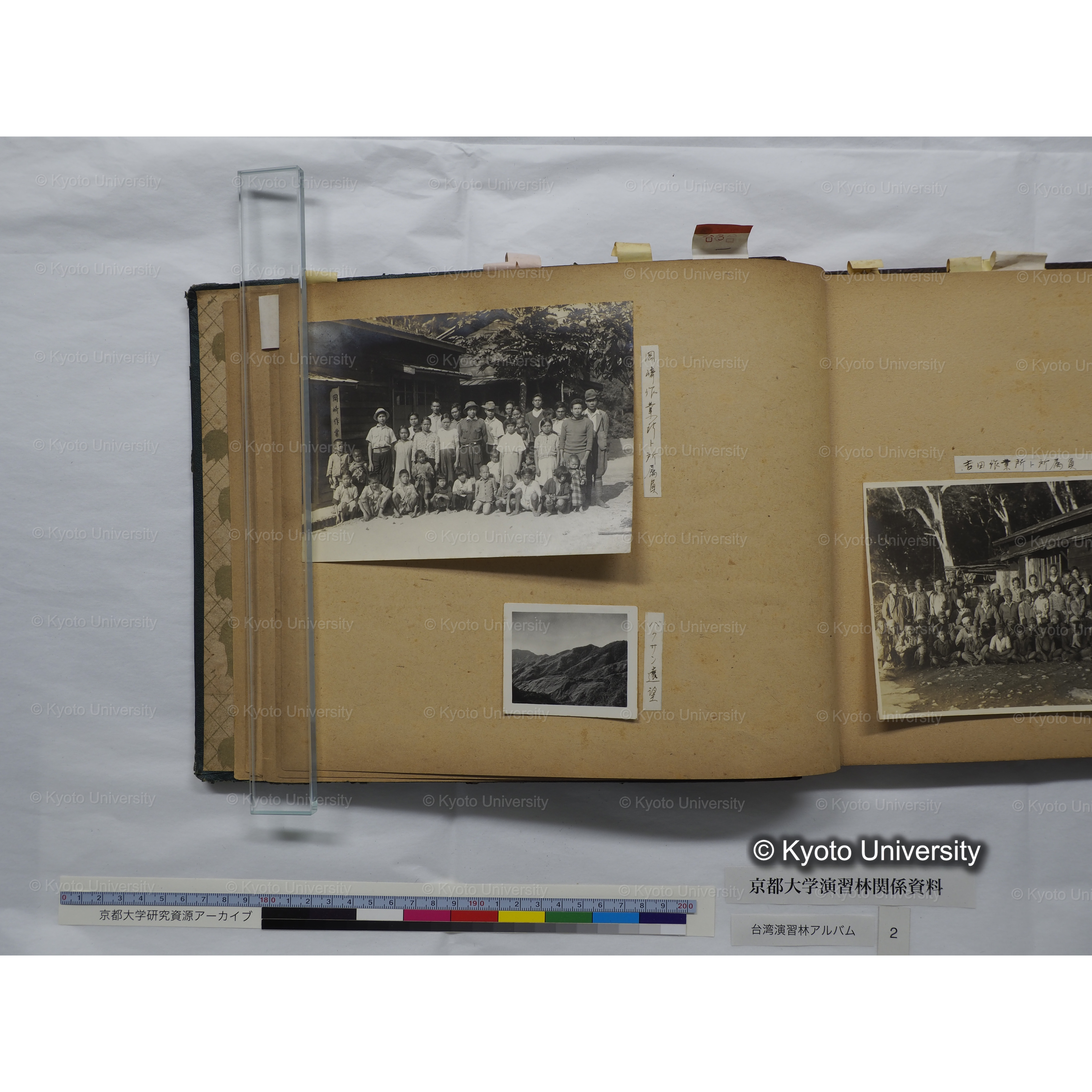 [台湾演習林アルバム(緑色表紙・赤茶色裏表紙)] (22)