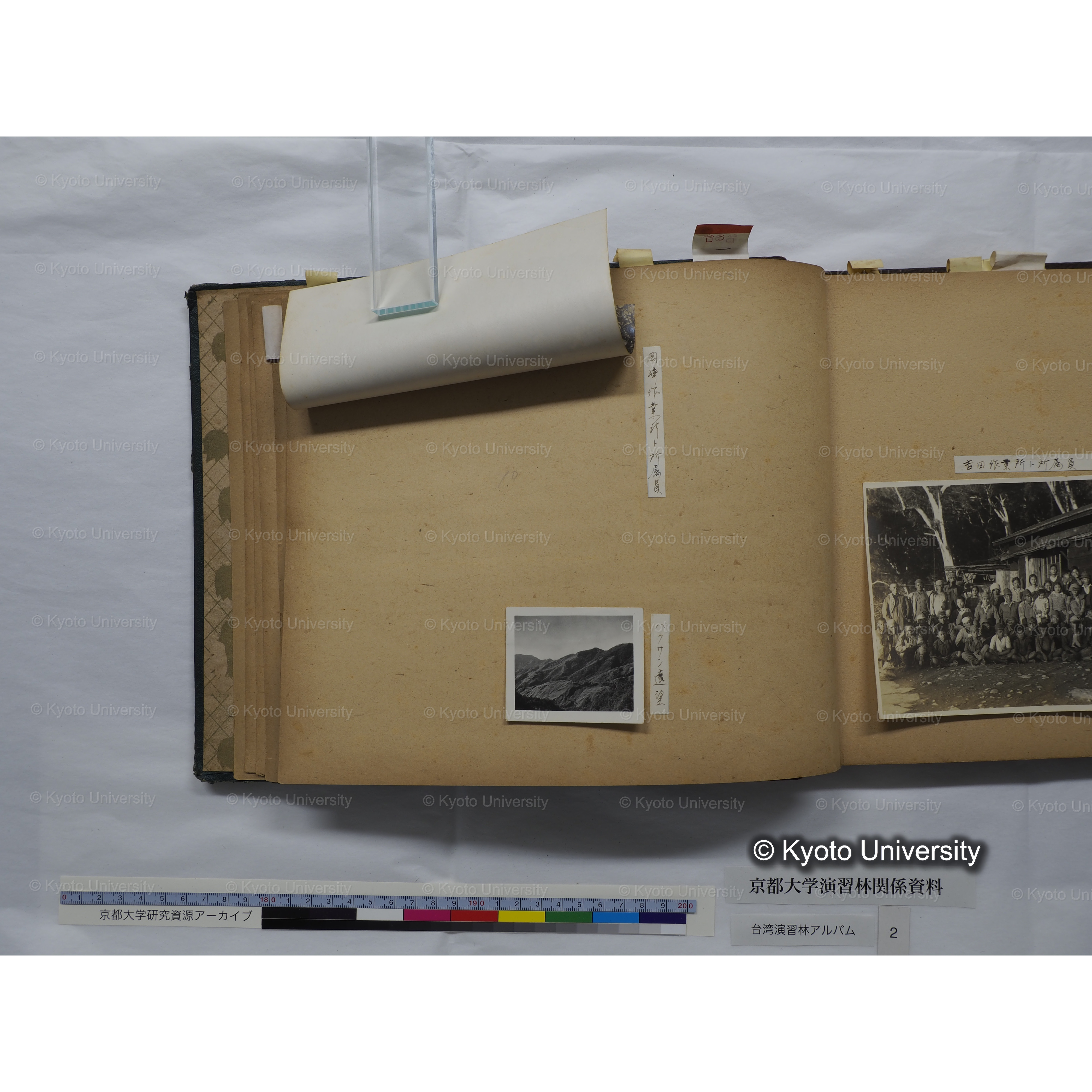 [台湾演習林アルバム(緑色表紙・赤茶色裏表紙)] (23)