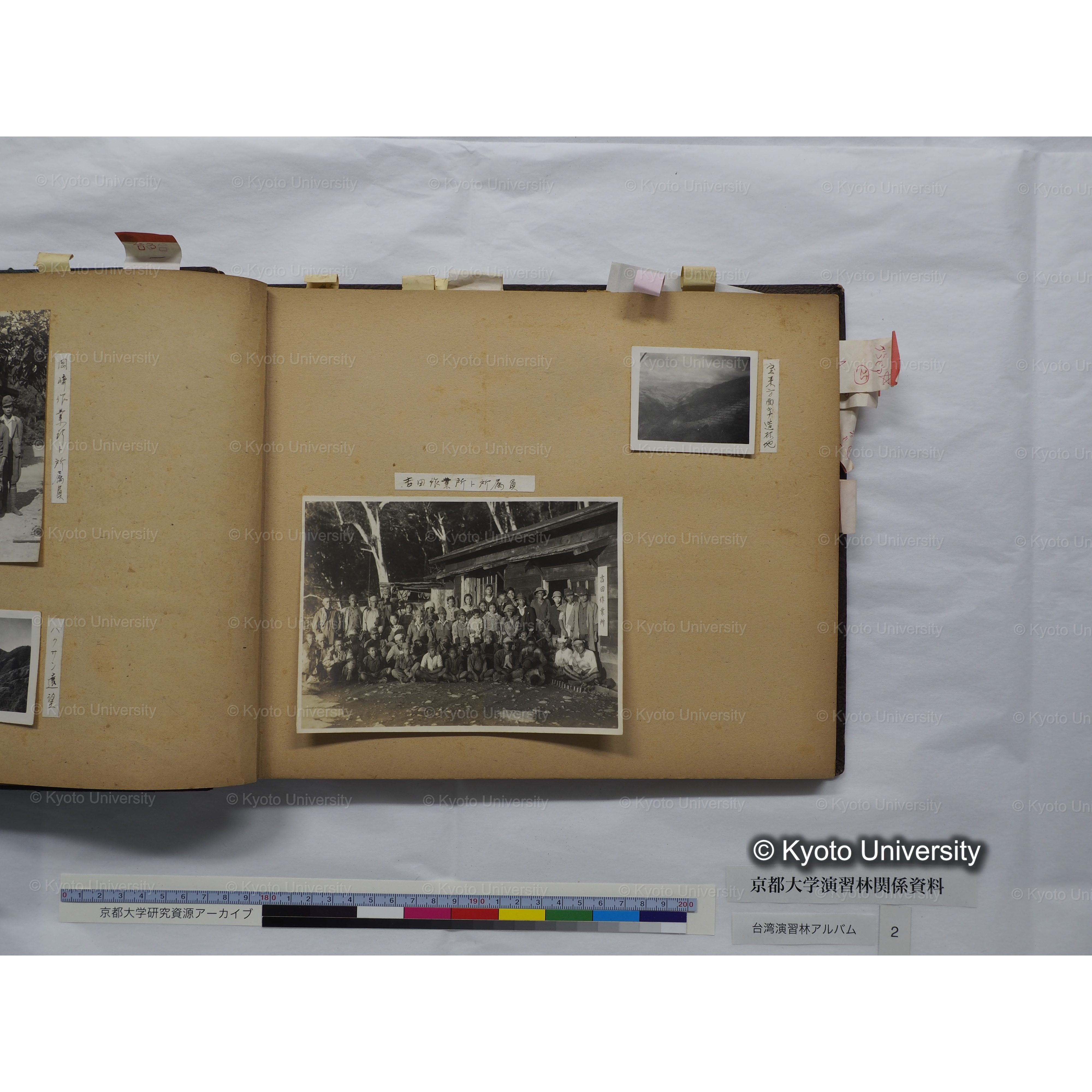 [台湾演習林アルバム(緑色表紙・赤茶色裏表紙)] (24)