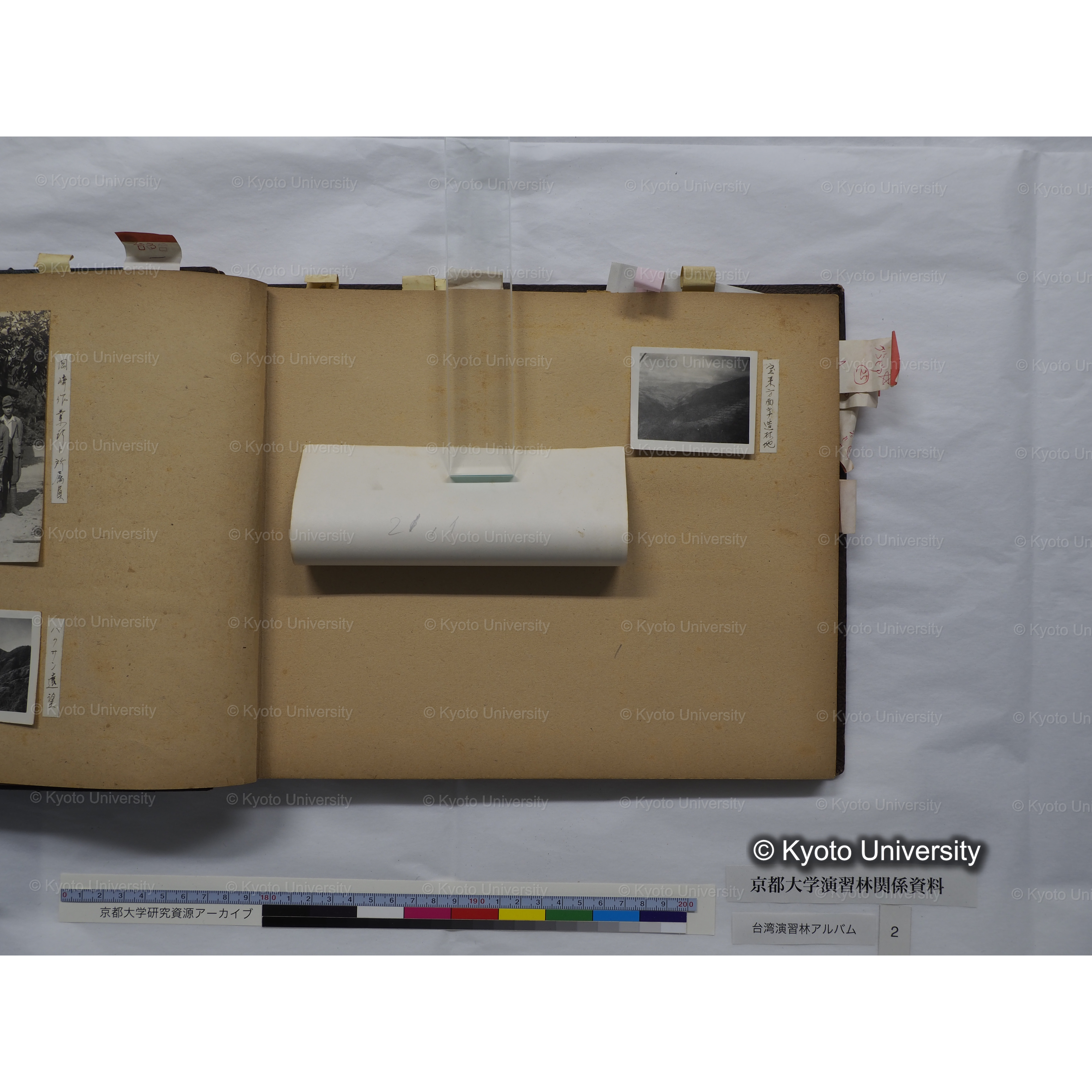 [台湾演習林アルバム(緑色表紙・赤茶色裏表紙)] (25)