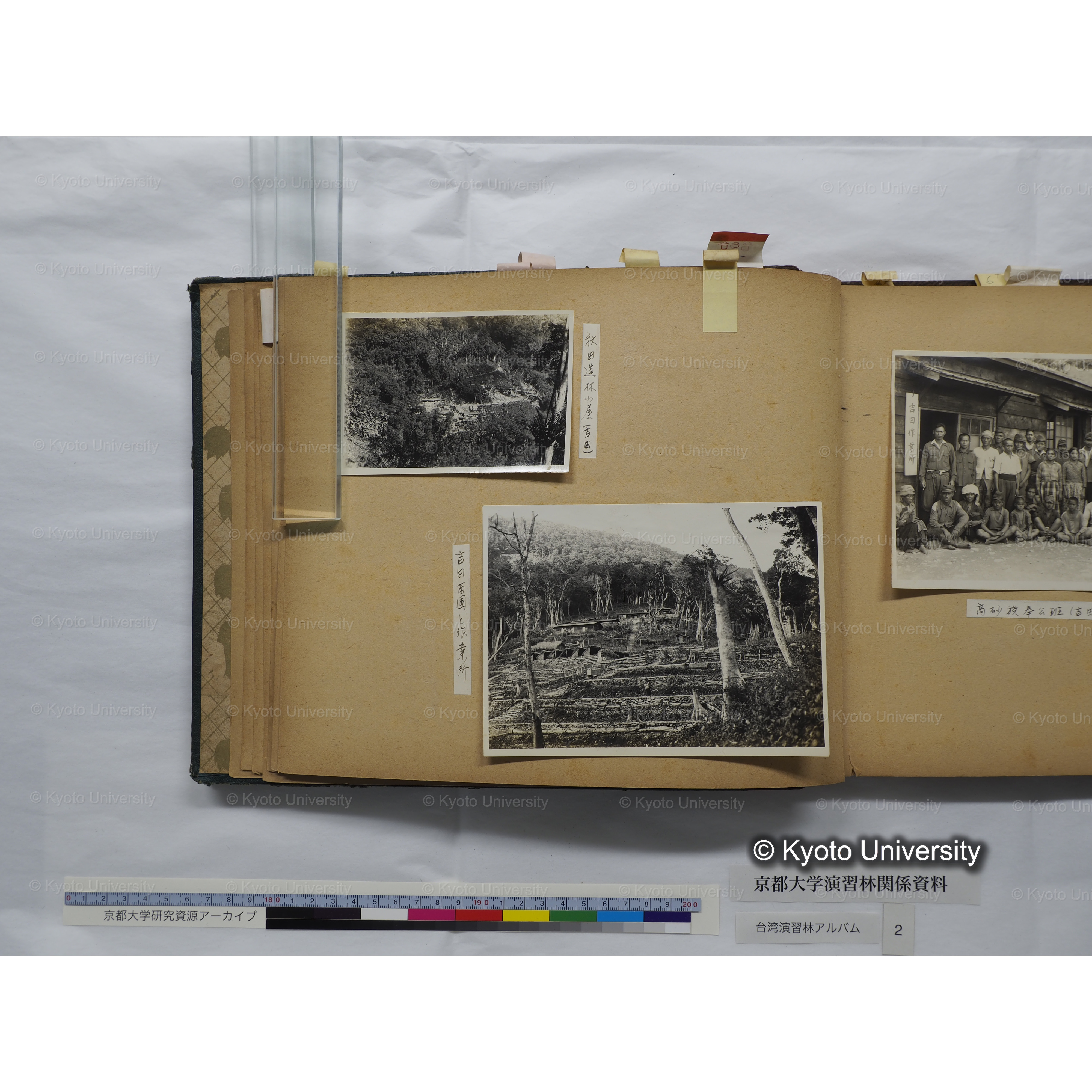 [台湾演習林アルバム(緑色表紙・赤茶色裏表紙)] (26)