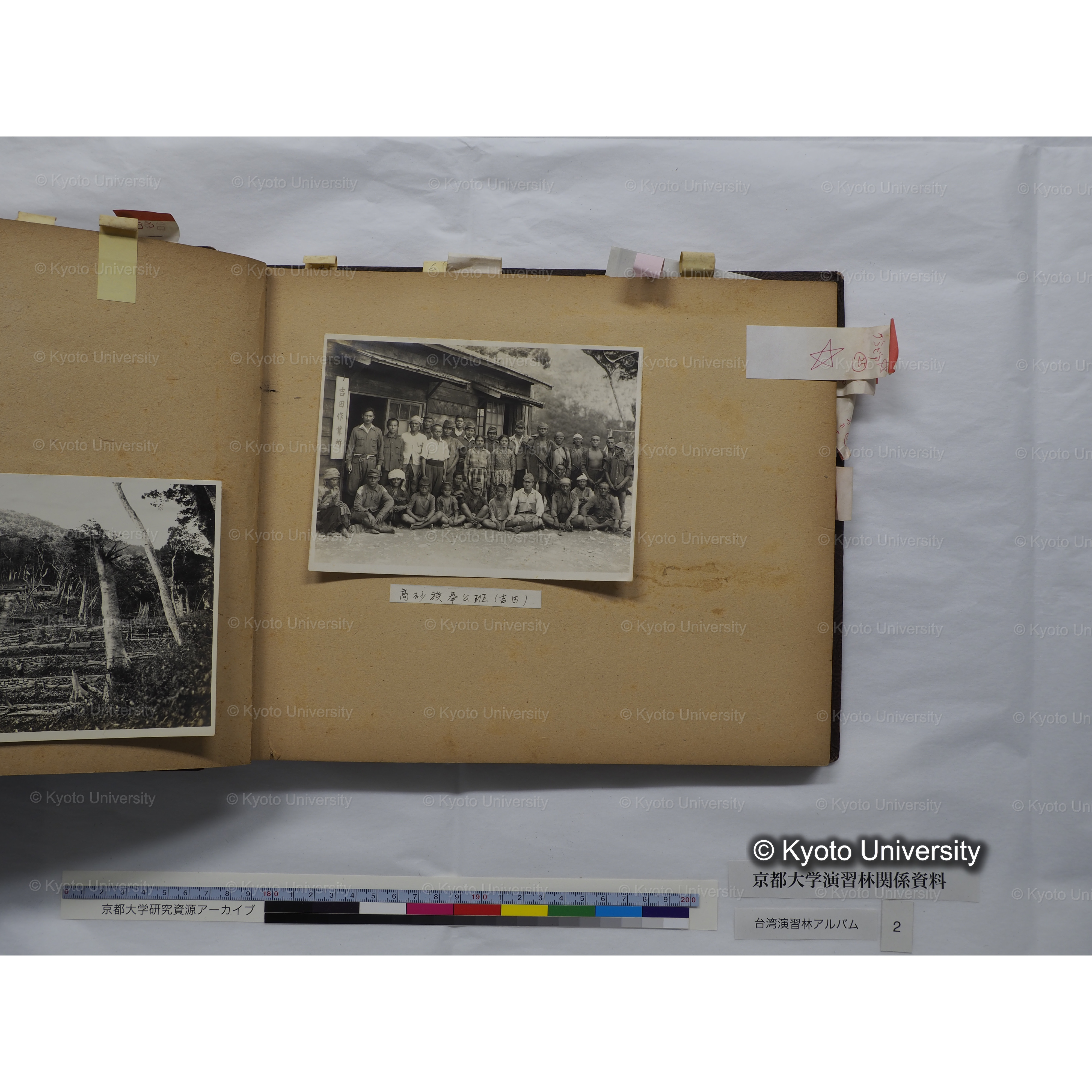 [台湾演習林アルバム(緑色表紙・赤茶色裏表紙)] (27)