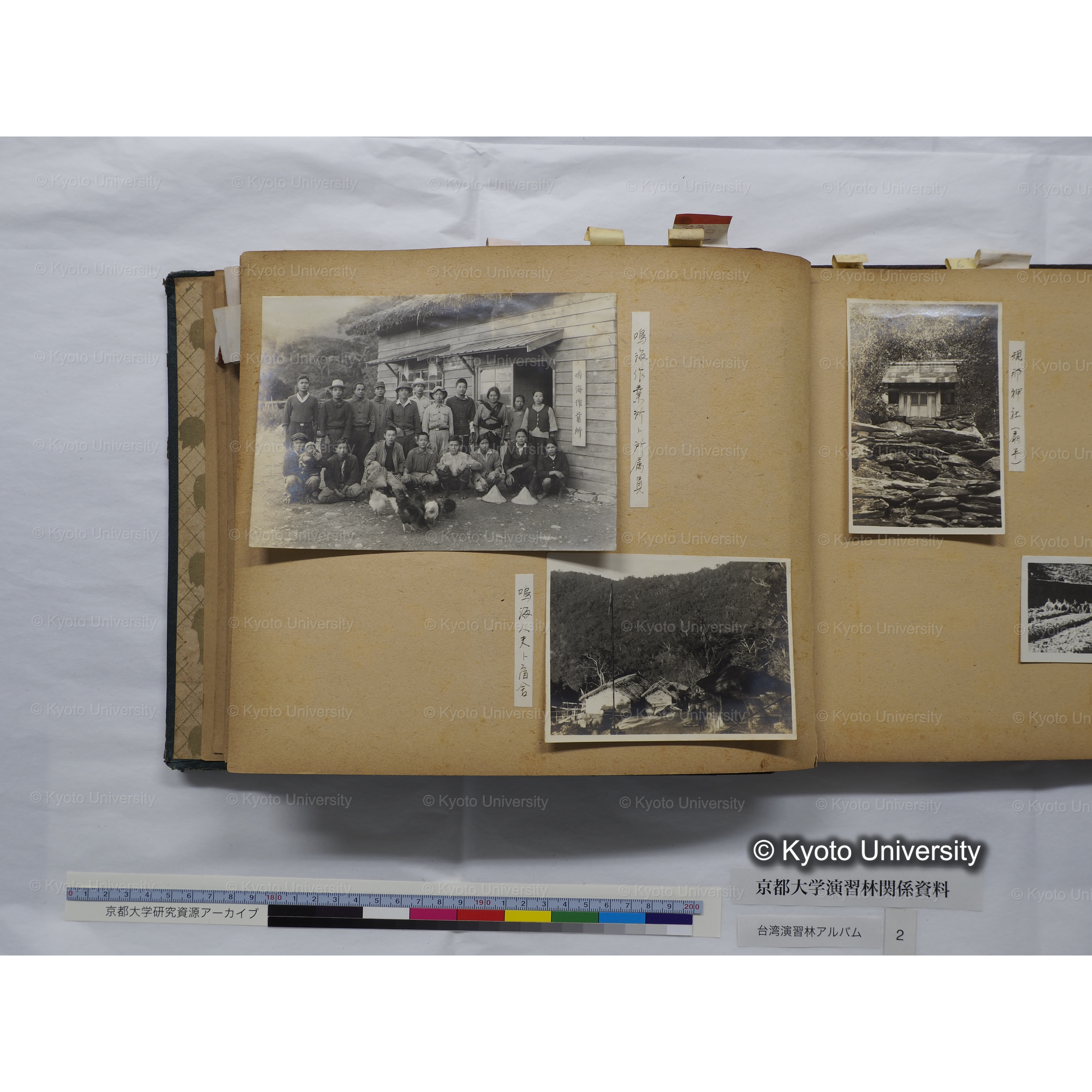 [台湾演習林アルバム(緑色表紙・赤茶色裏表紙)] (28)