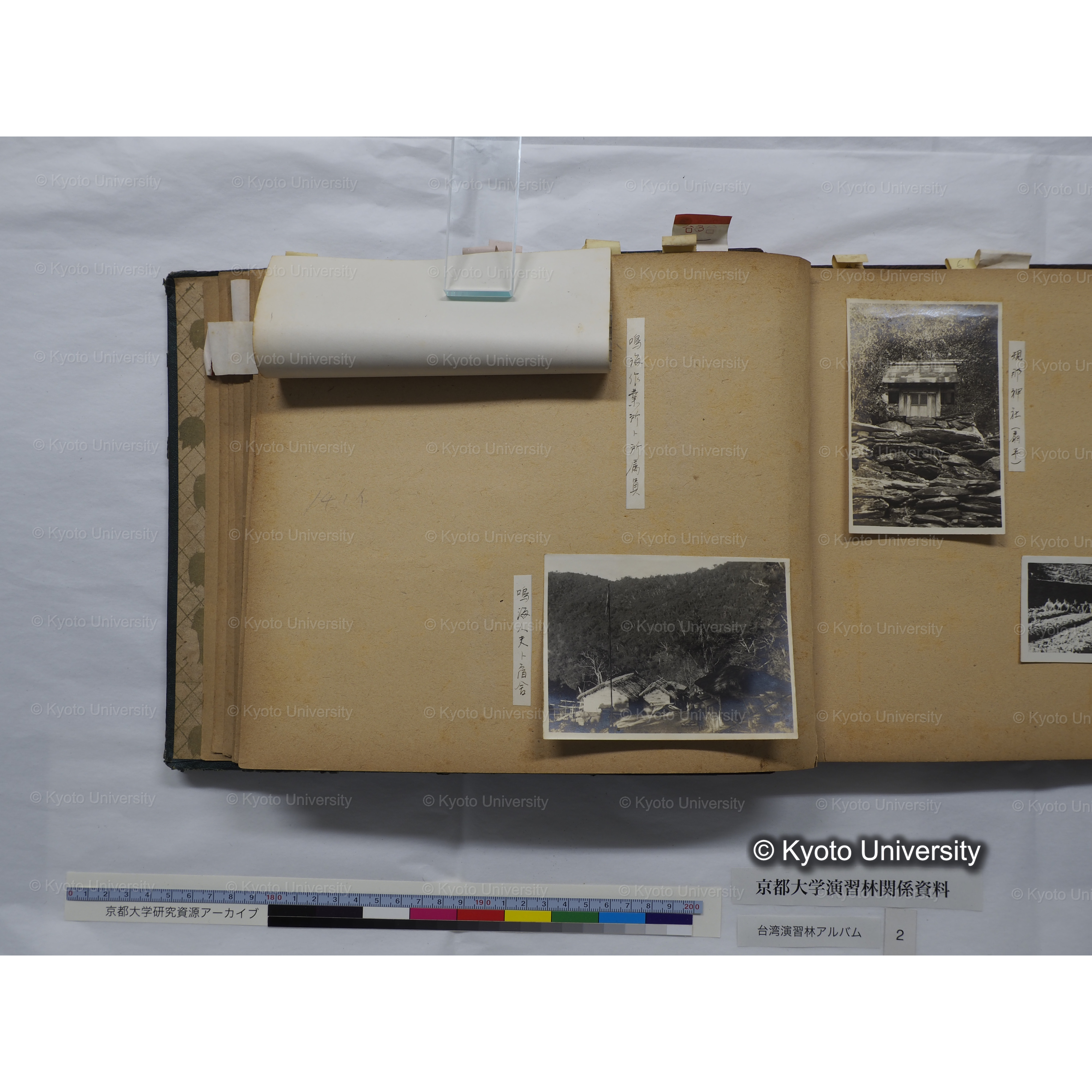 [台湾演習林アルバム(緑色表紙・赤茶色裏表紙)] (29)