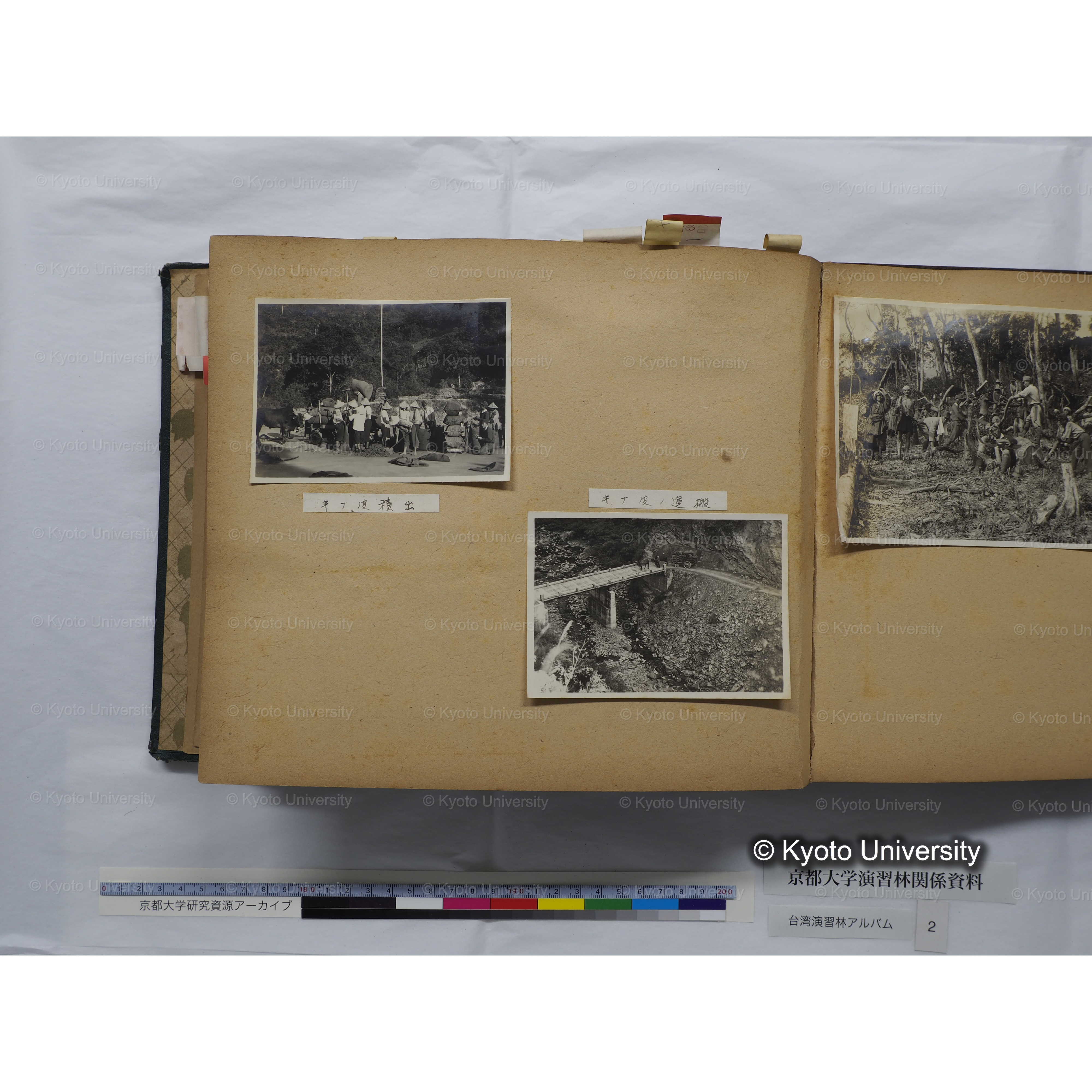 [台湾演習林アルバム(緑色表紙・赤茶色裏表紙)] (42)