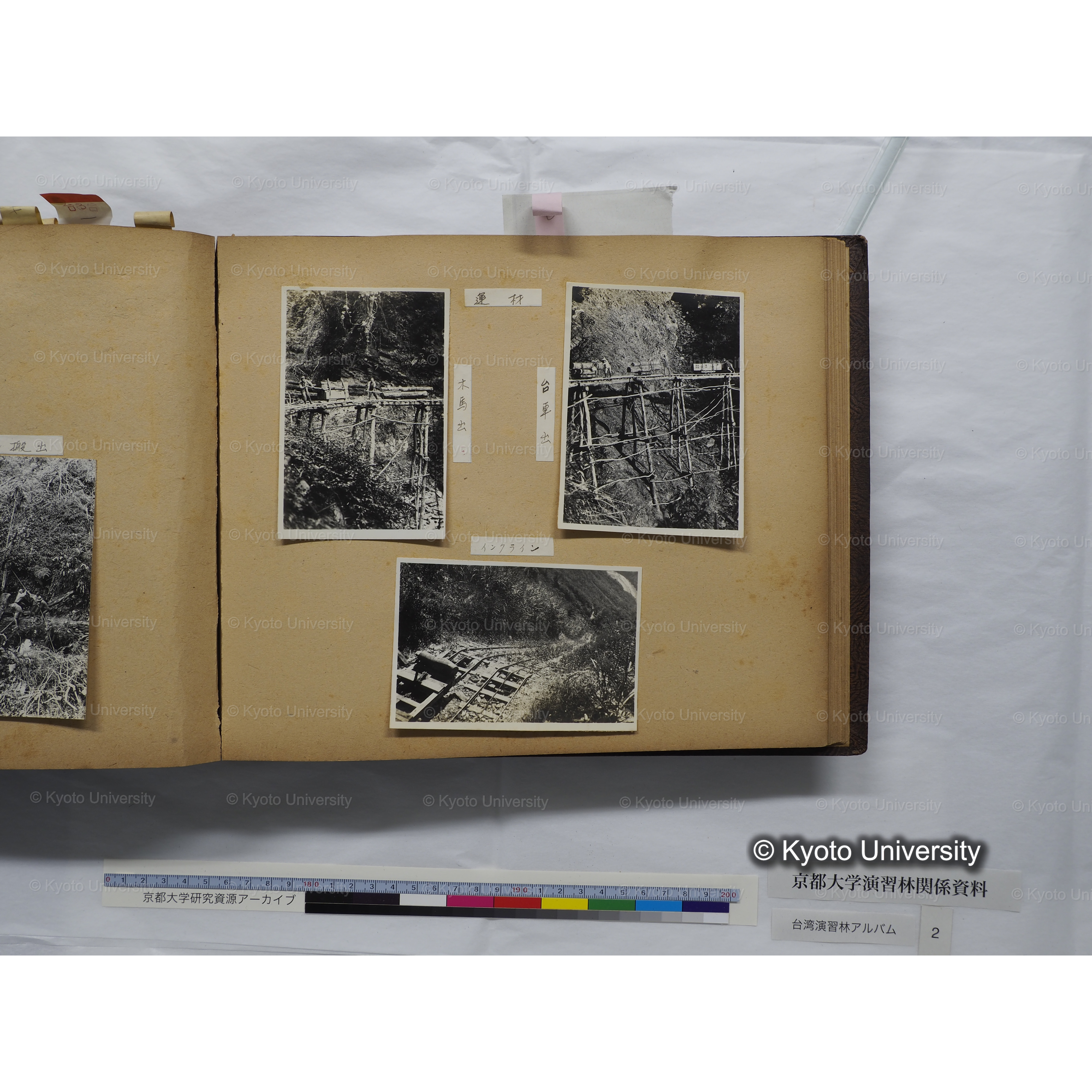 [台湾演習林アルバム(緑色表紙・赤茶色裏表紙)] (45)