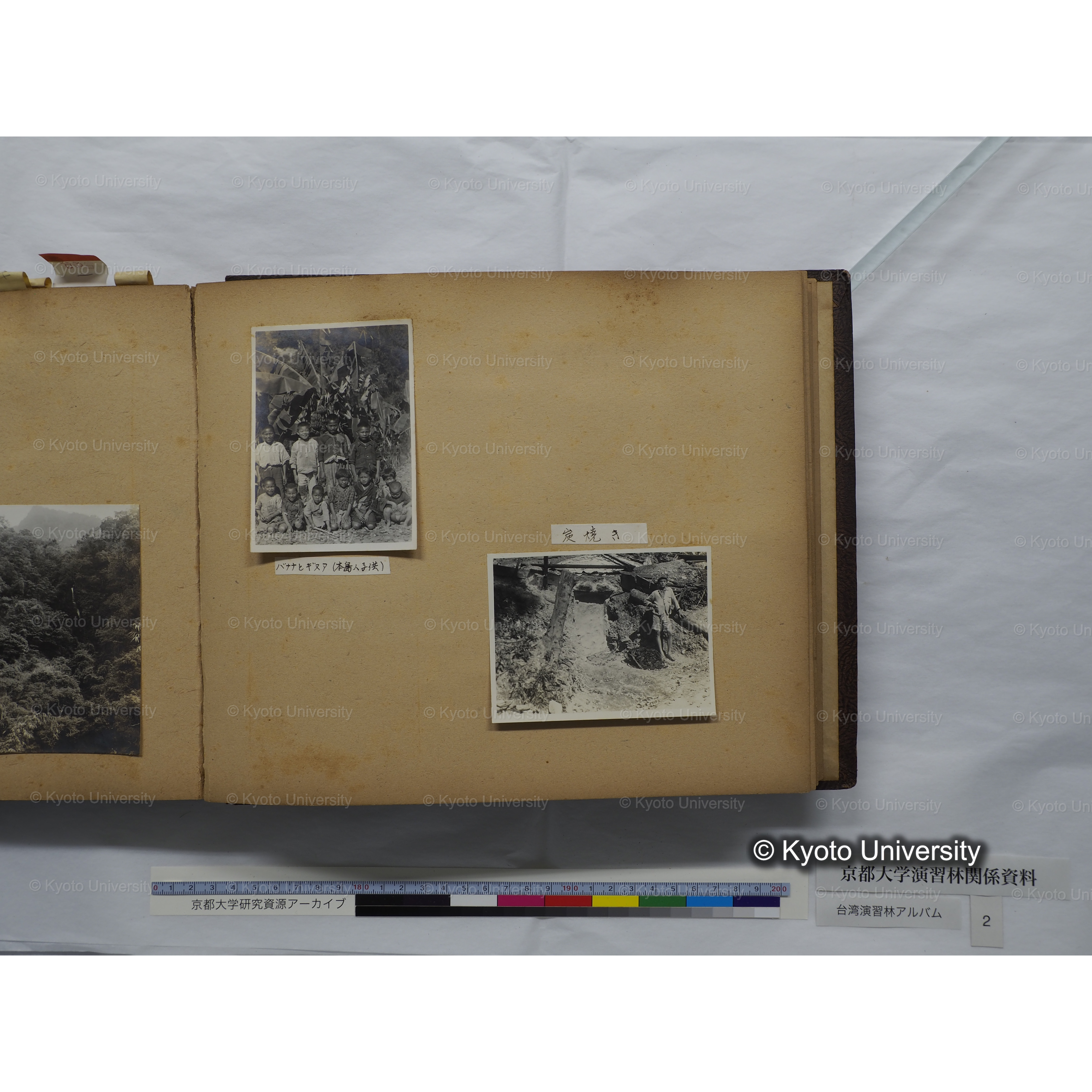 [台湾演習林アルバム(緑色表紙・赤茶色裏表紙)] (55)