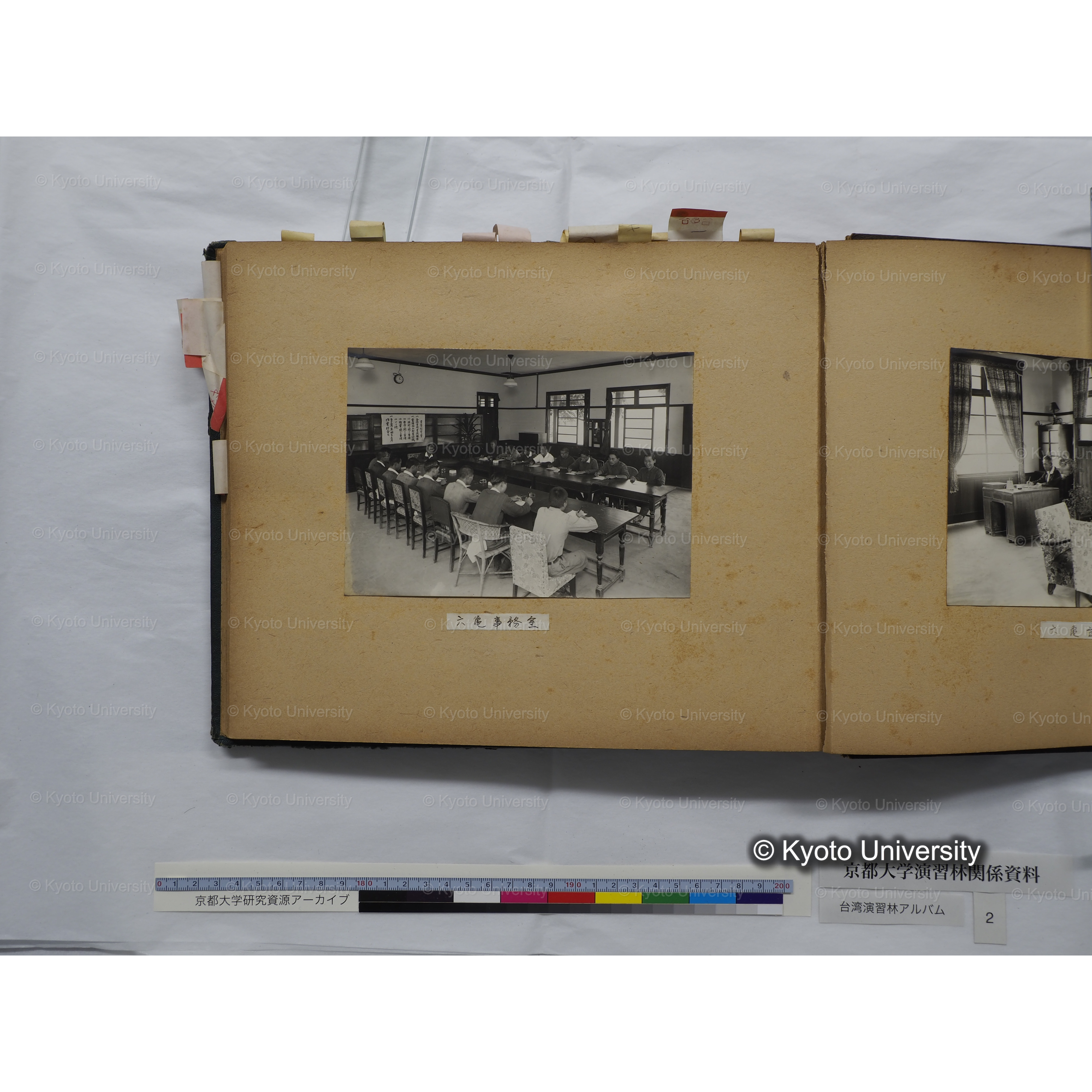 [台湾演習林アルバム(緑色表紙・赤茶色裏表紙)] (57)