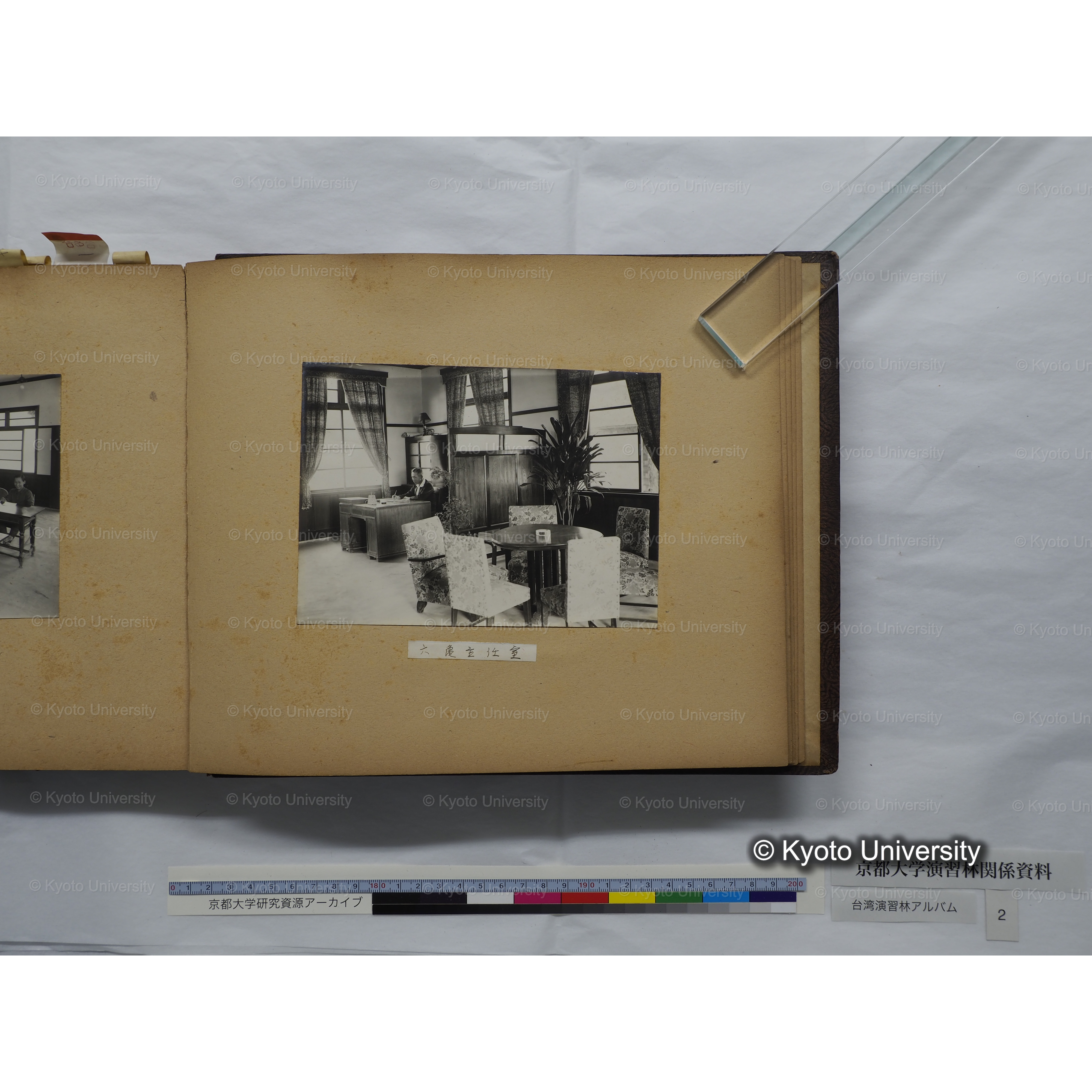 [台湾演習林アルバム(緑色表紙・赤茶色裏表紙)] (58)