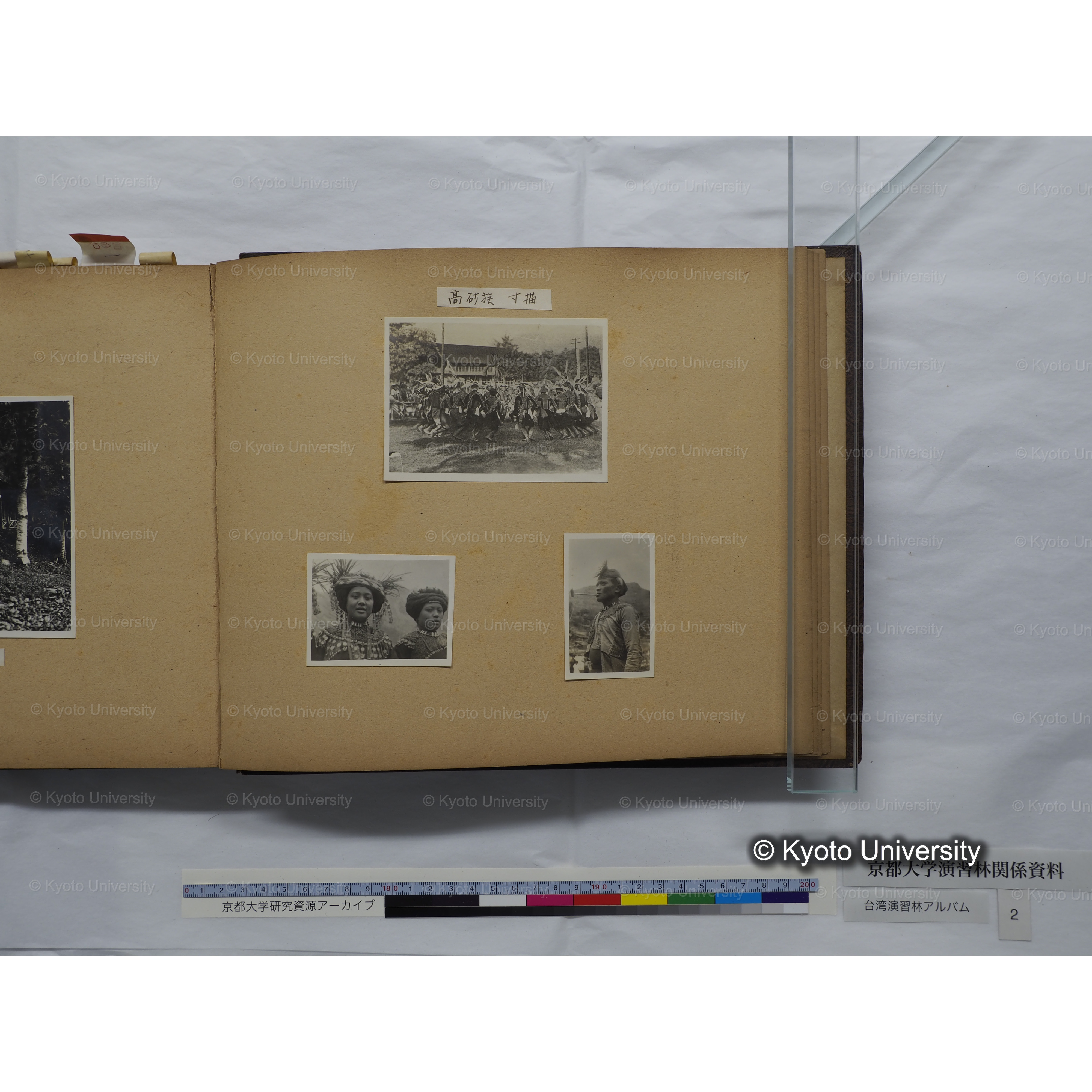 [台湾演習林アルバム(緑色表紙・赤茶色裏表紙)] (60)