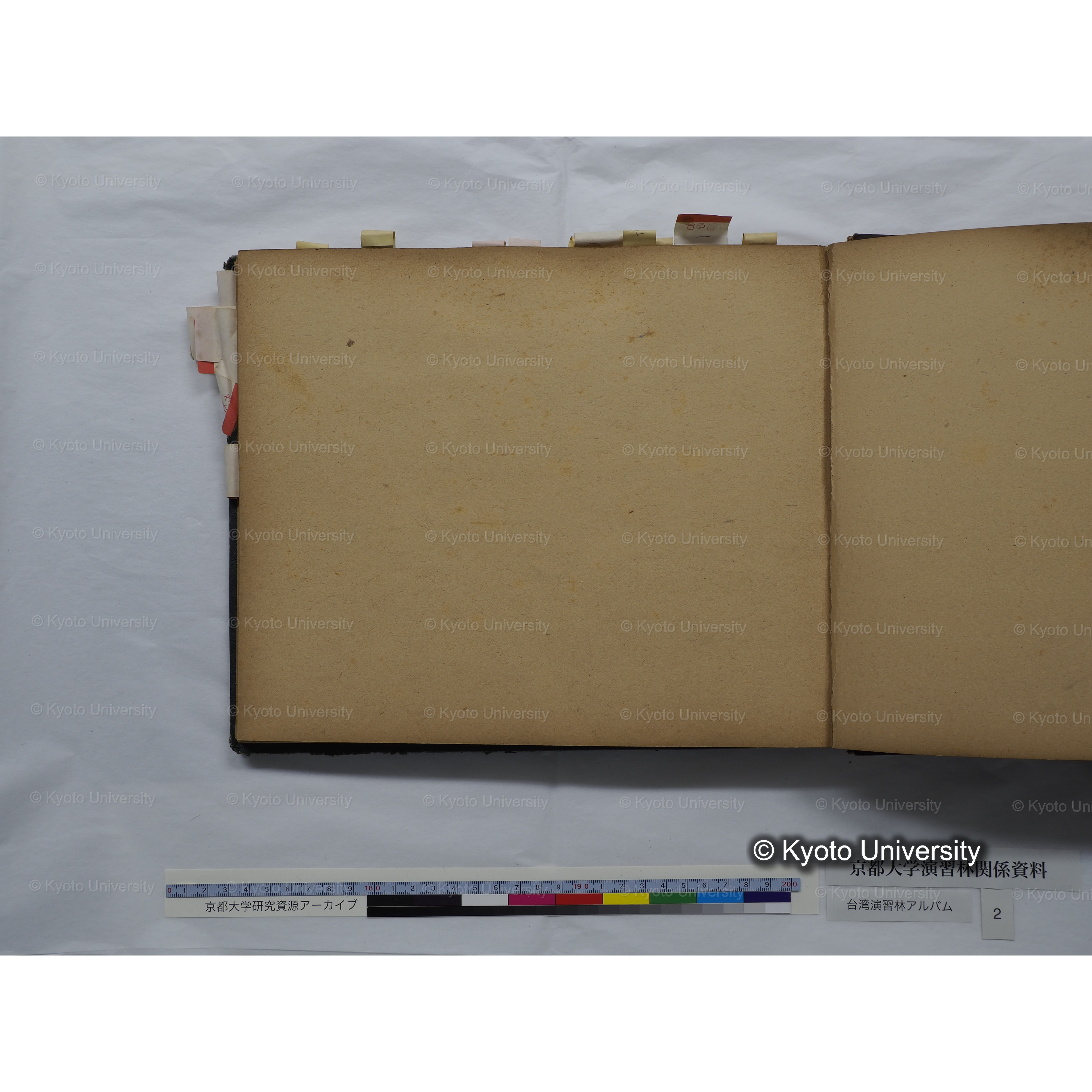 [台湾演習林アルバム(緑色表紙・赤茶色裏表紙)] (61)