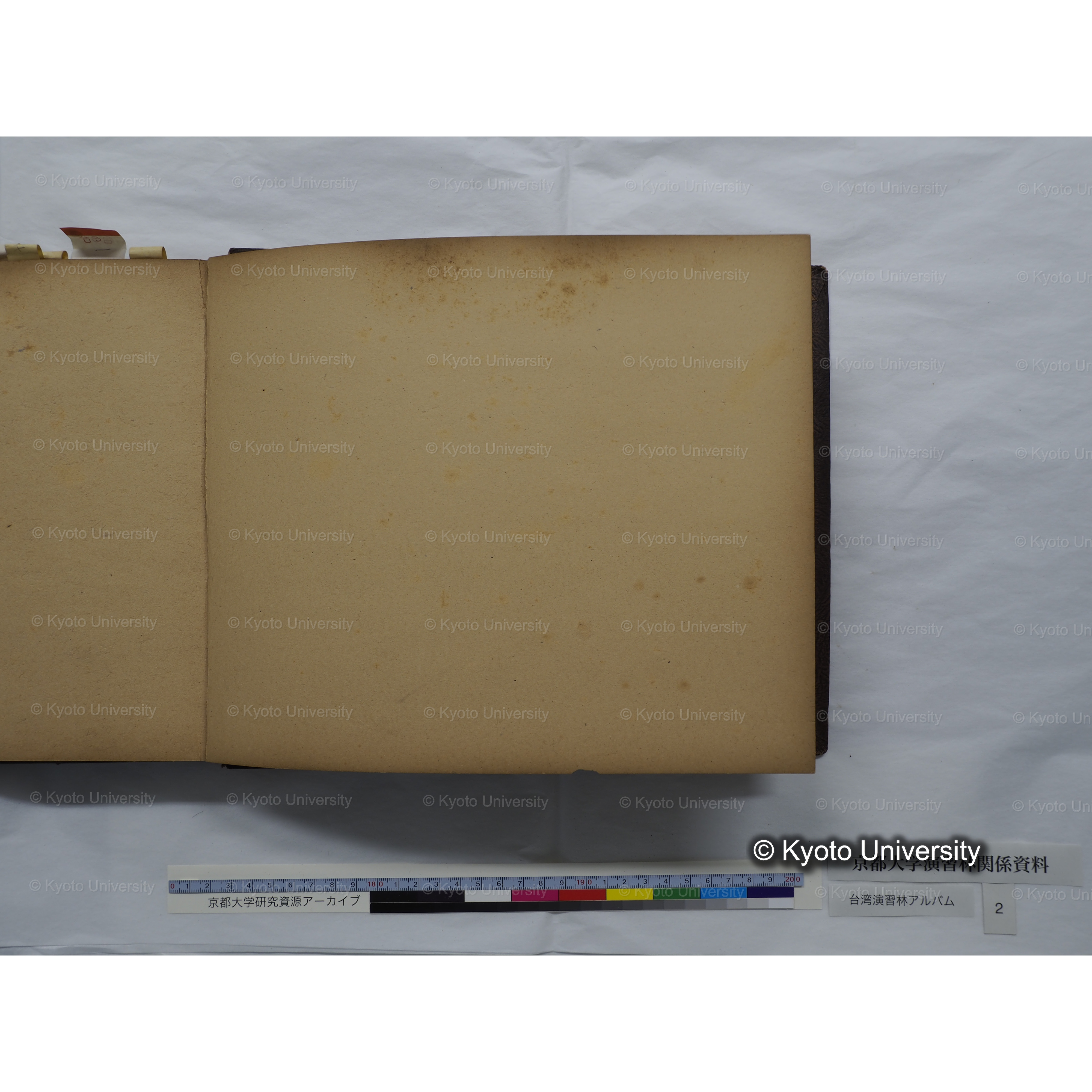 [台湾演習林アルバム(緑色表紙・赤茶色裏表紙)] (62)