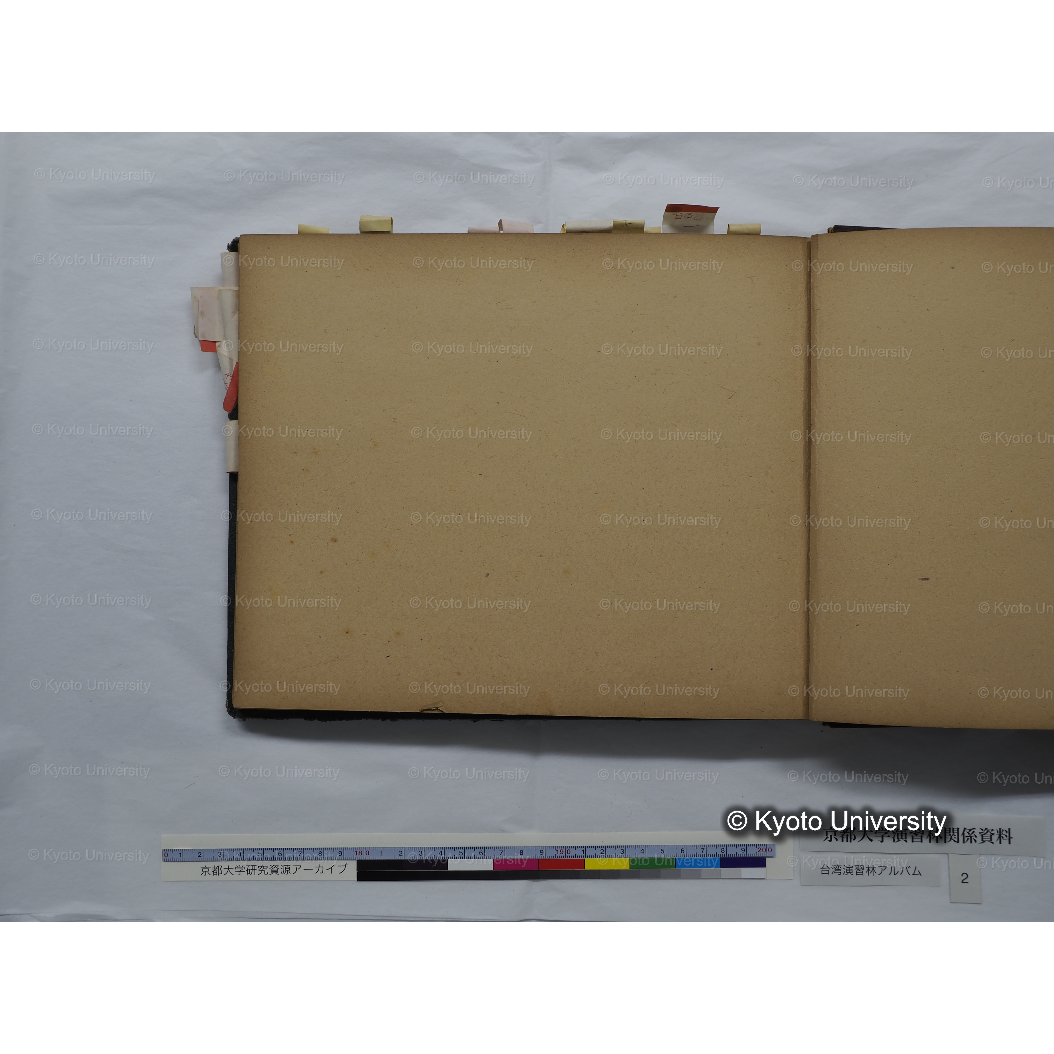 [台湾演習林アルバム(緑色表紙・赤茶色裏表紙)] (63)