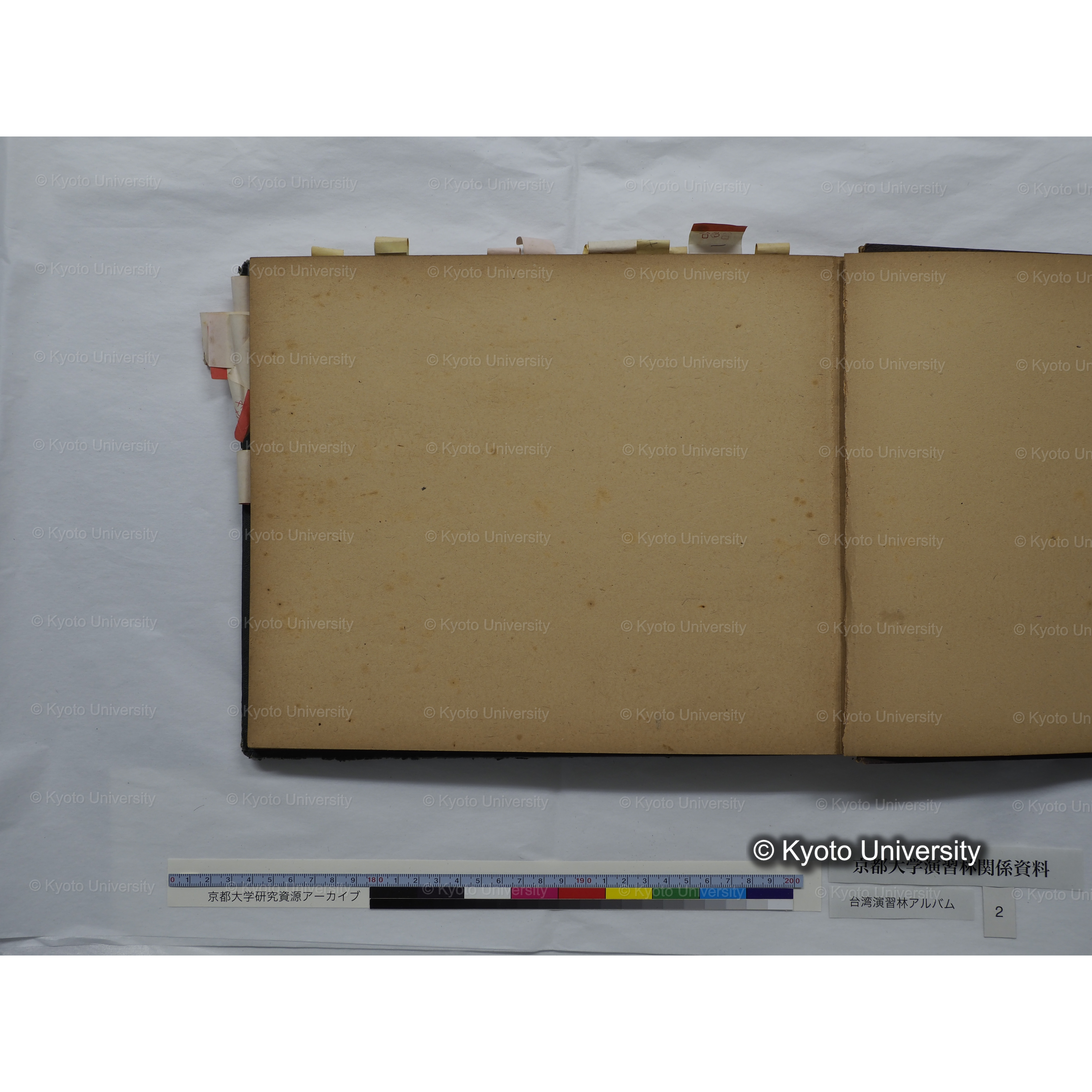 [台湾演習林アルバム(緑色表紙・赤茶色裏表紙)] (65)