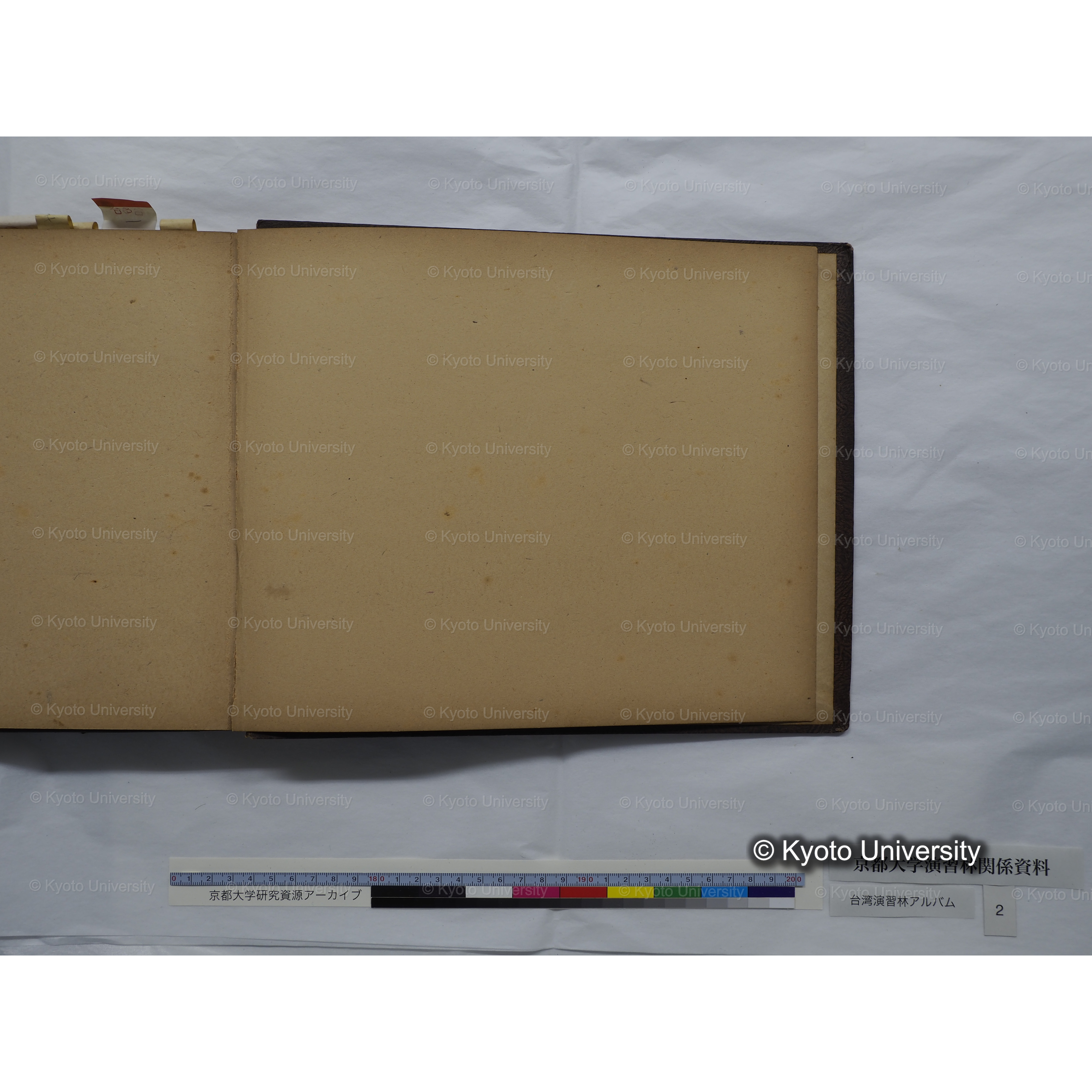 [台湾演習林アルバム(緑色表紙・赤茶色裏表紙)] (66)