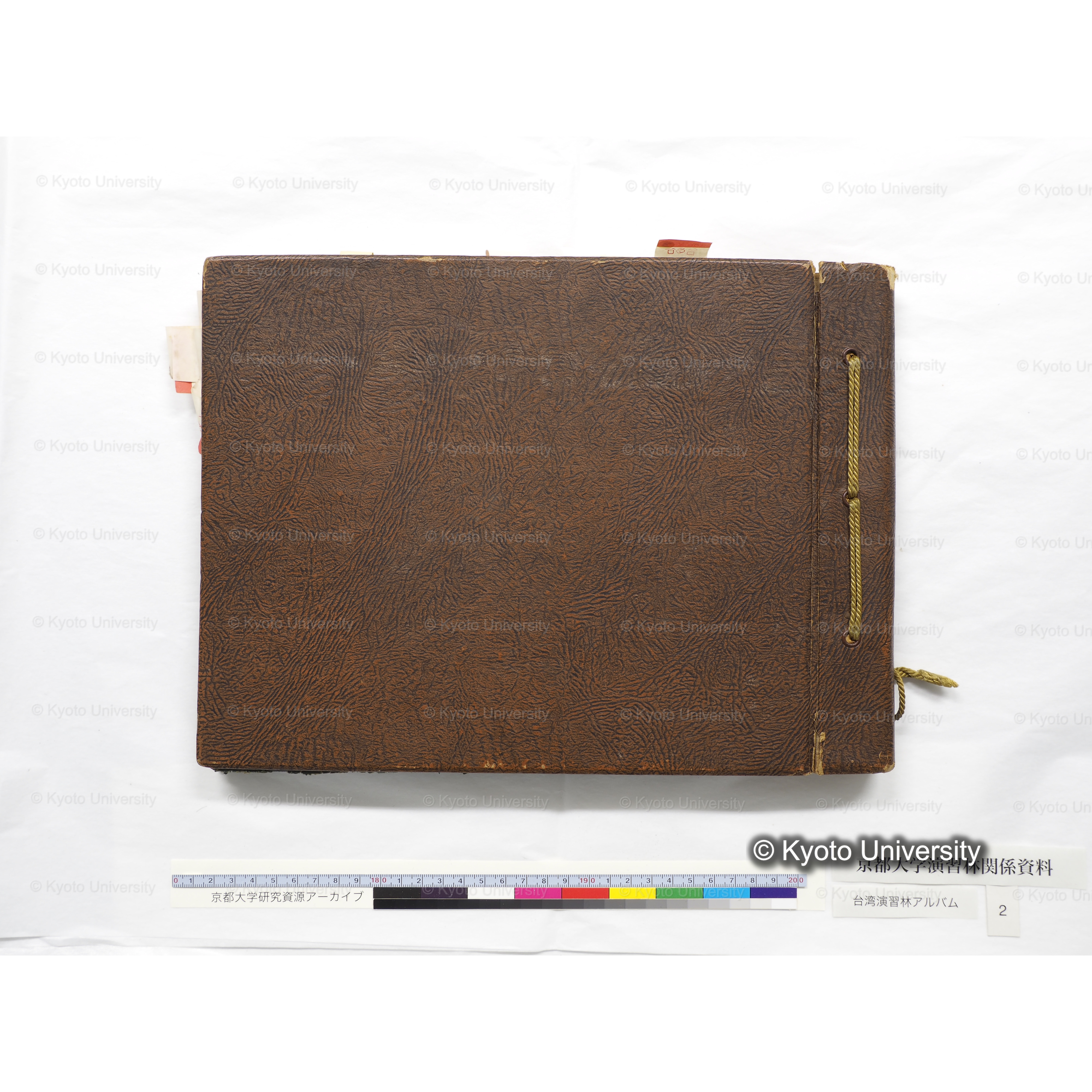 [台湾演習林アルバム(緑色表紙・赤茶色裏表紙)] (69)