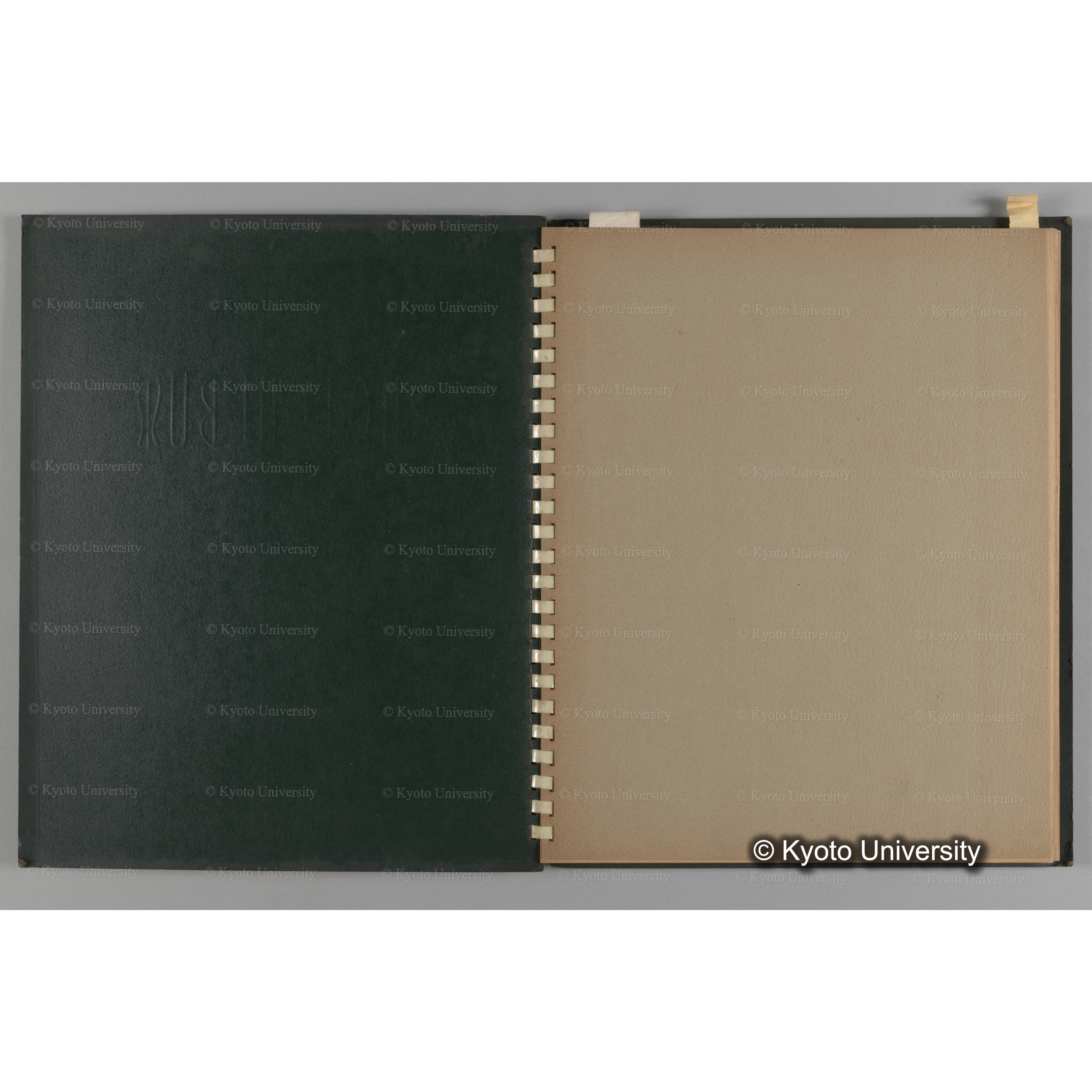 [国内演習林緑アルバム1957(緑色表紙)] PHOTO ALBUM (ラベル)「No.3 和歌山演習林 北海道演習林」. (2)