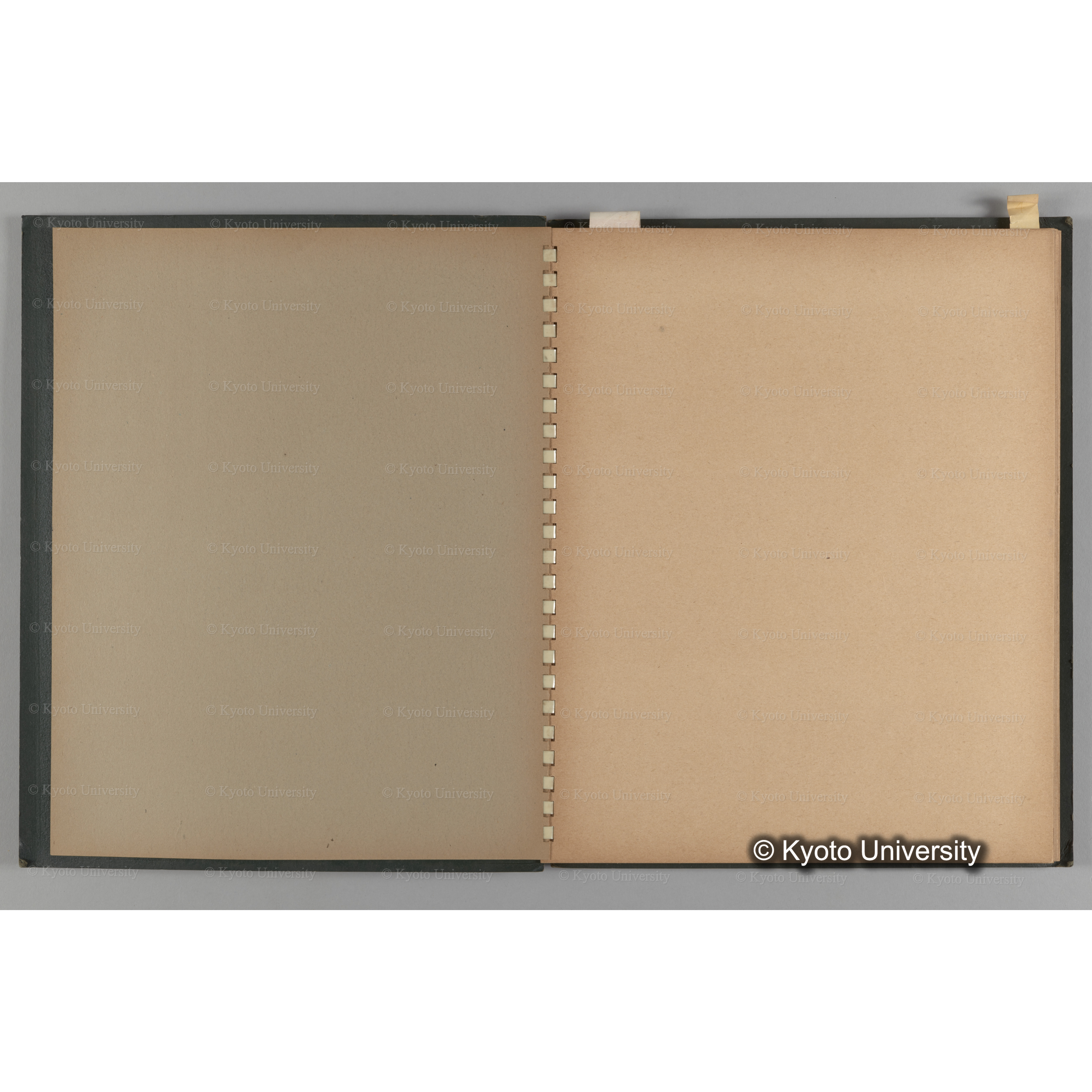 [国内演習林緑アルバム1957(緑色表紙)] PHOTO ALBUM (ラベル)「No.3 和歌山演習林 北海道演習林」. (3)