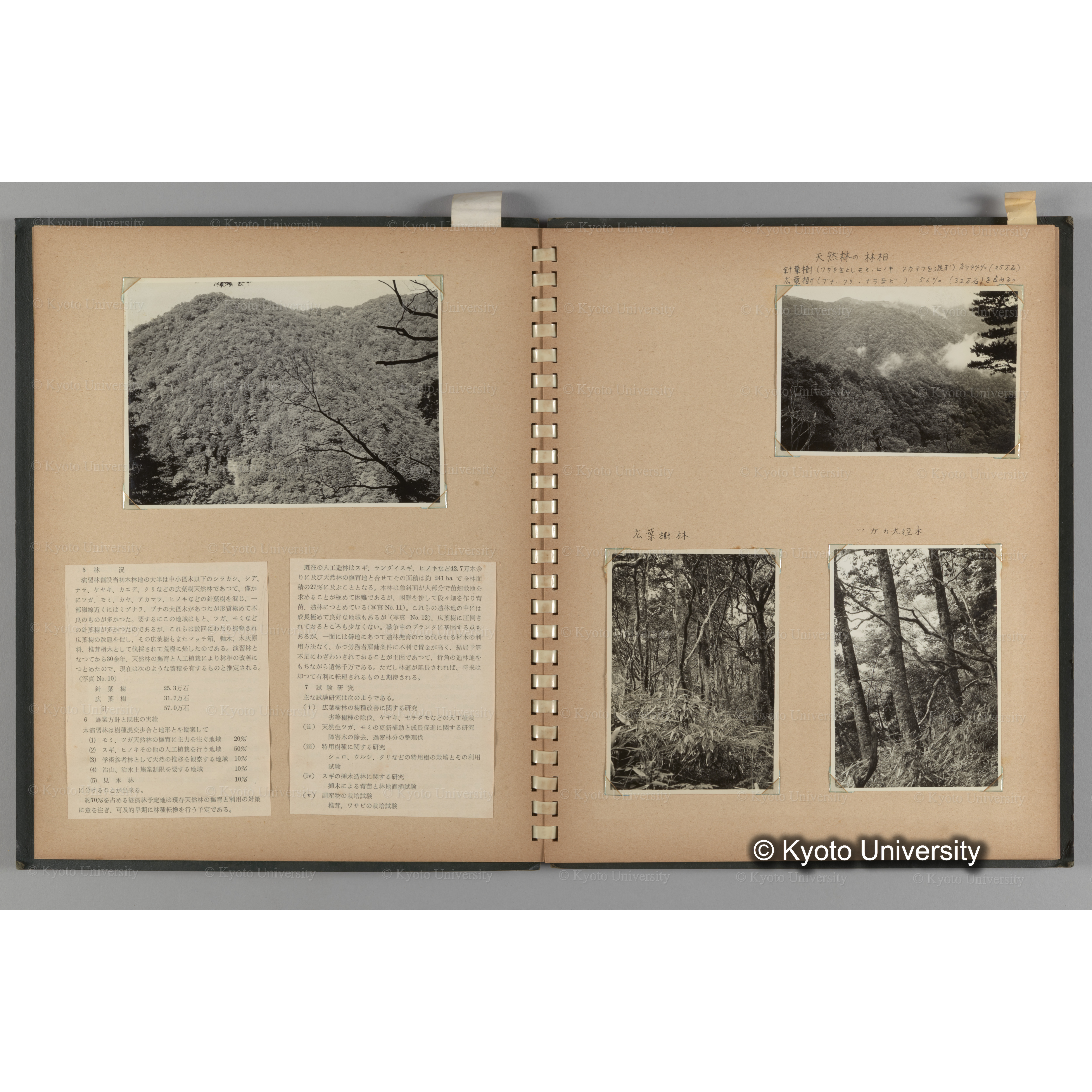 [国内演習林緑アルバム1957(緑色表紙)] PHOTO ALBUM (ラベル)「No.3 和歌山演習林 北海道演習林」. (5)
