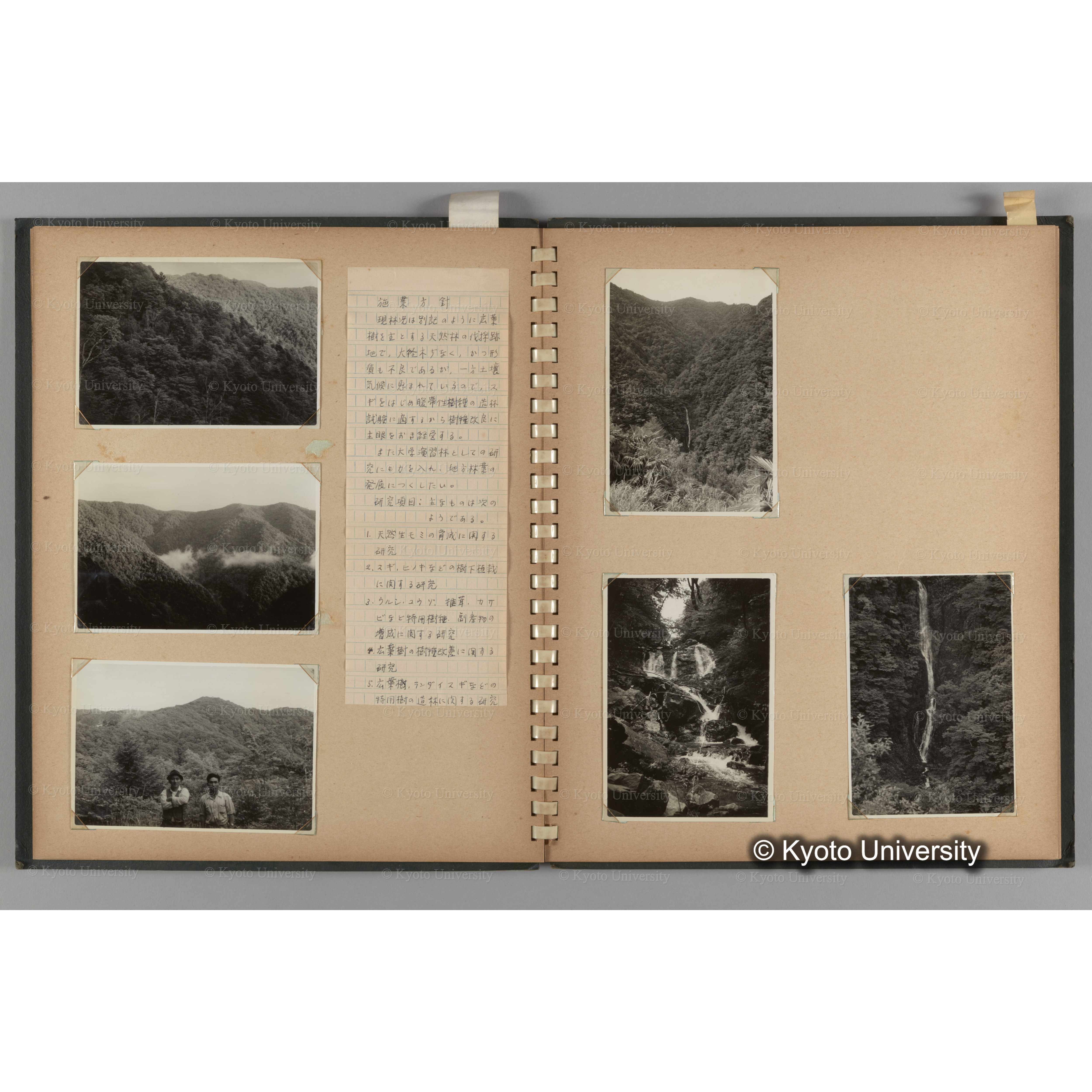 [国内演習林緑アルバム1957(緑色表紙)] PHOTO ALBUM (ラベル)「No.3 和歌山演習林 北海道演習林」. (6)