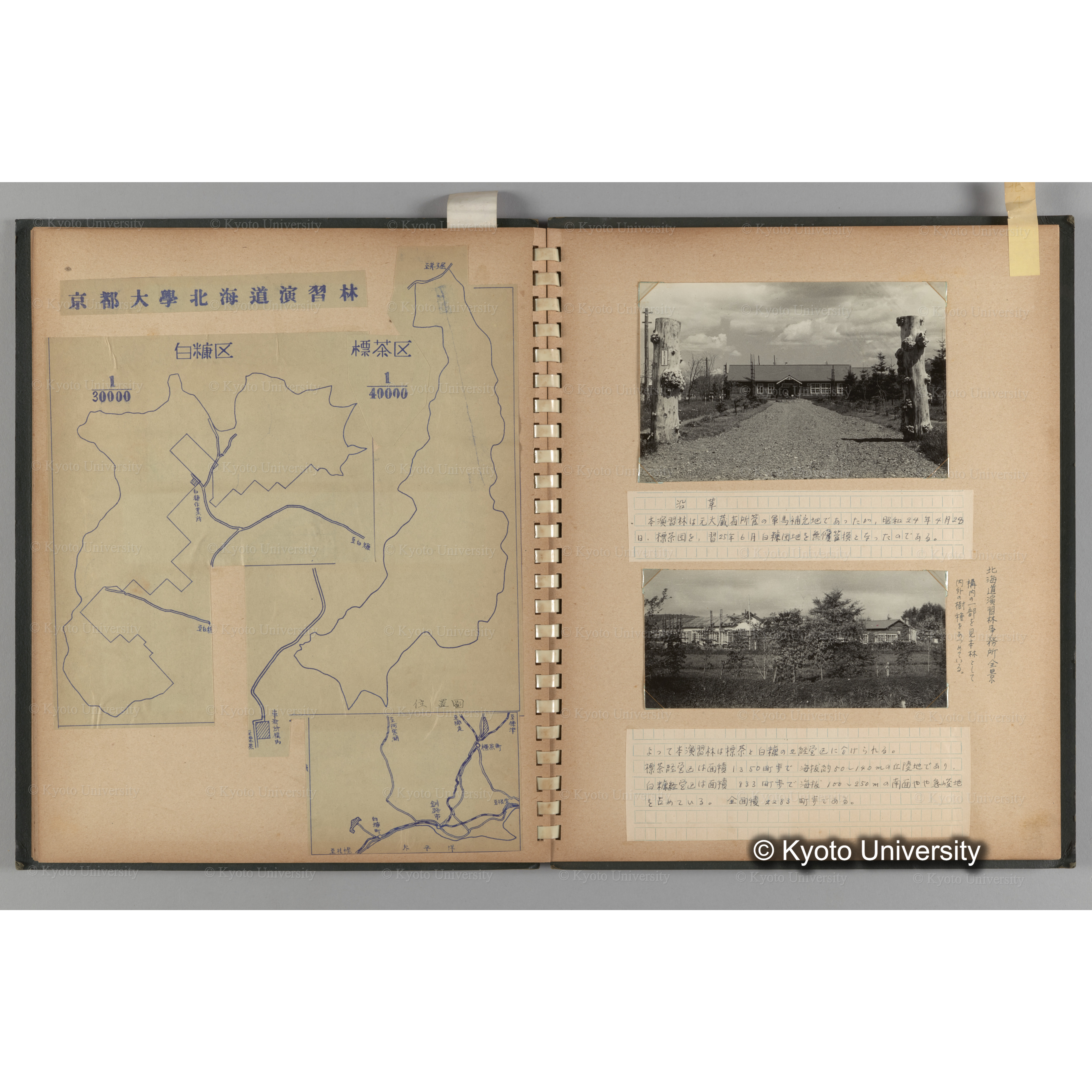 [国内演習林緑アルバム1957(緑色表紙)] PHOTO ALBUM (ラベル)「No.3 和歌山演習林 北海道演習林」. (8)