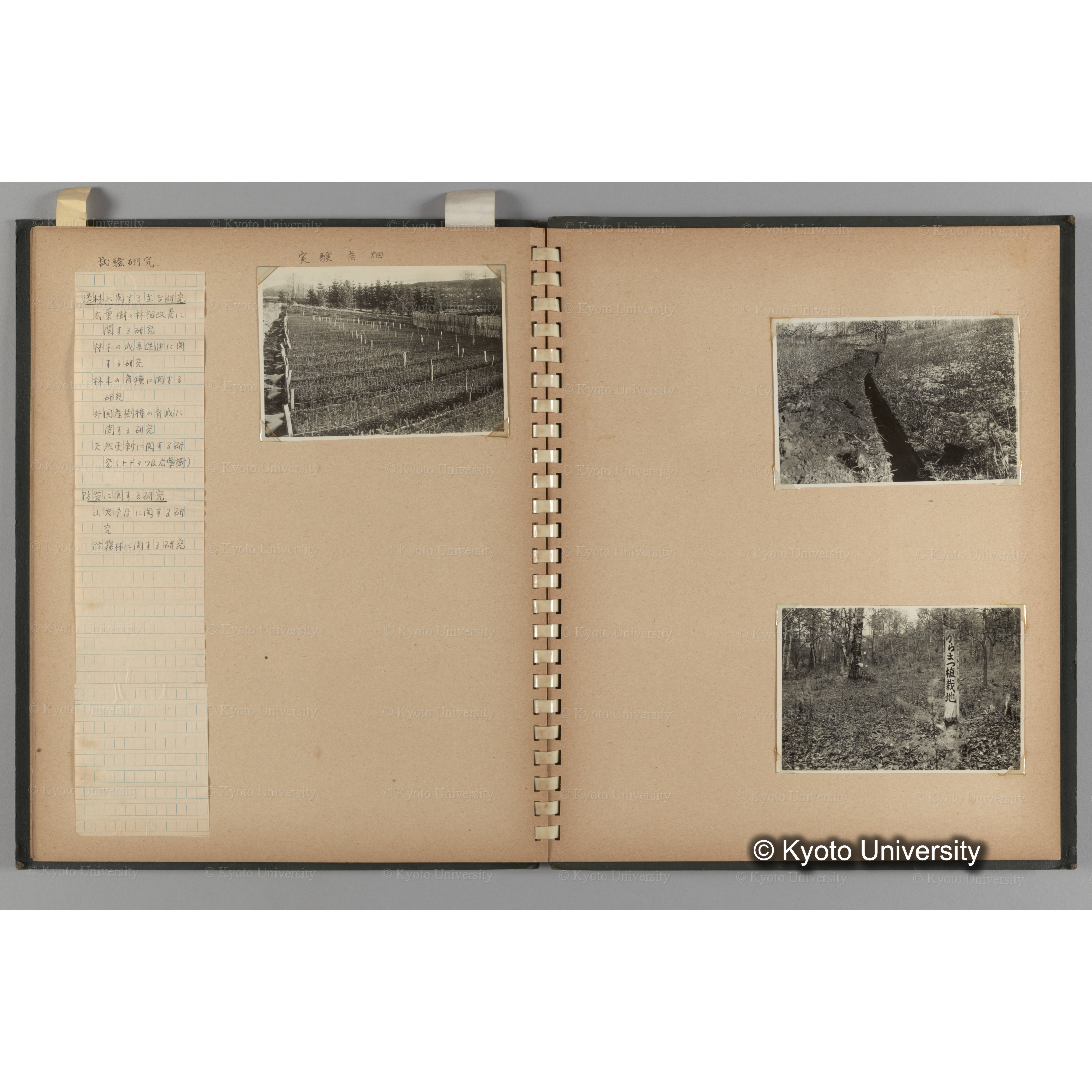 [国内演習林緑アルバム1957(緑色表紙)] PHOTO ALBUM (ラベル)「No.3 和歌山演習林 北海道演習林」. (10)