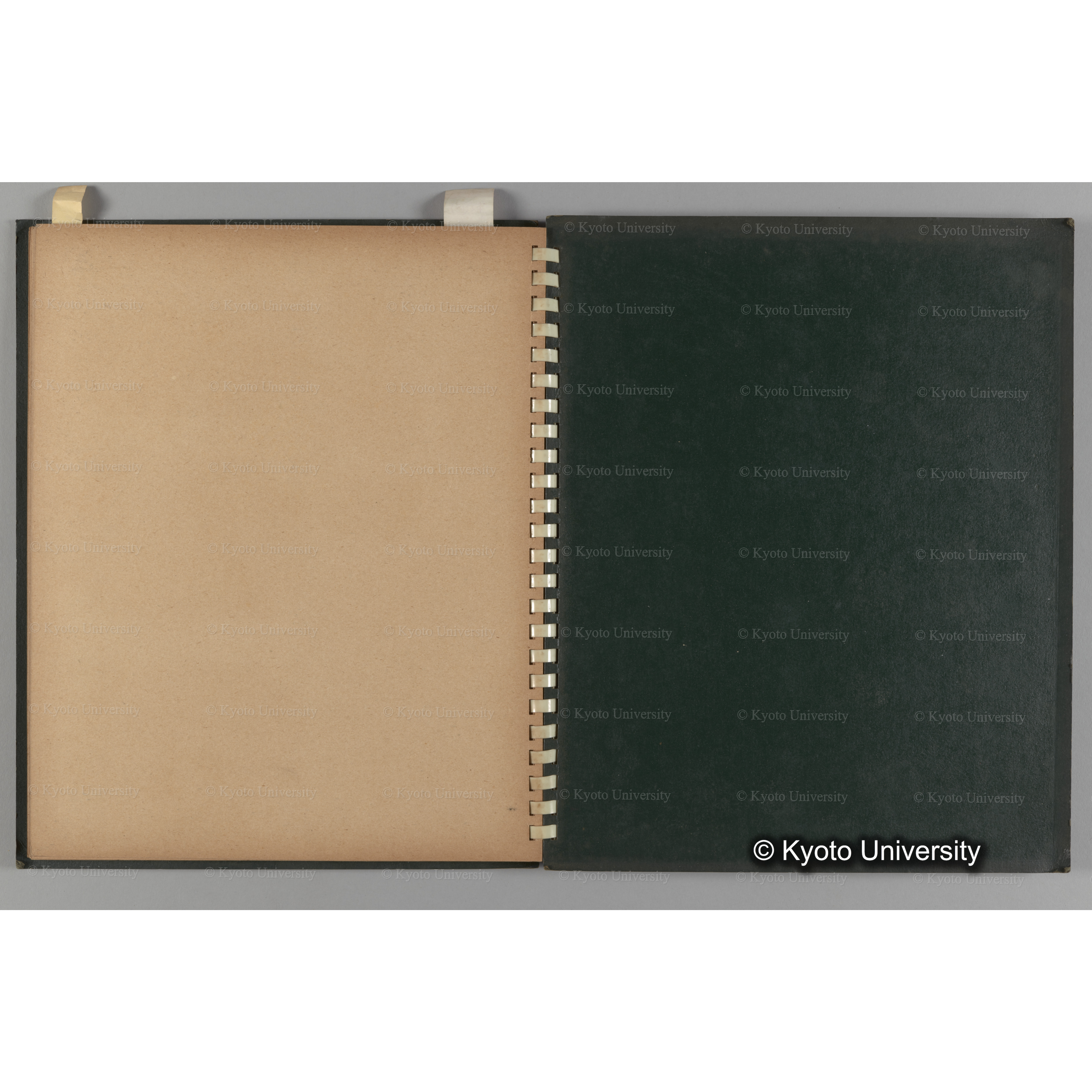 [国内演習林緑アルバム1957(緑色表紙)] PHOTO ALBUM (ラベル)「No.3 和歌山演習林 北海道演習林」. (13)