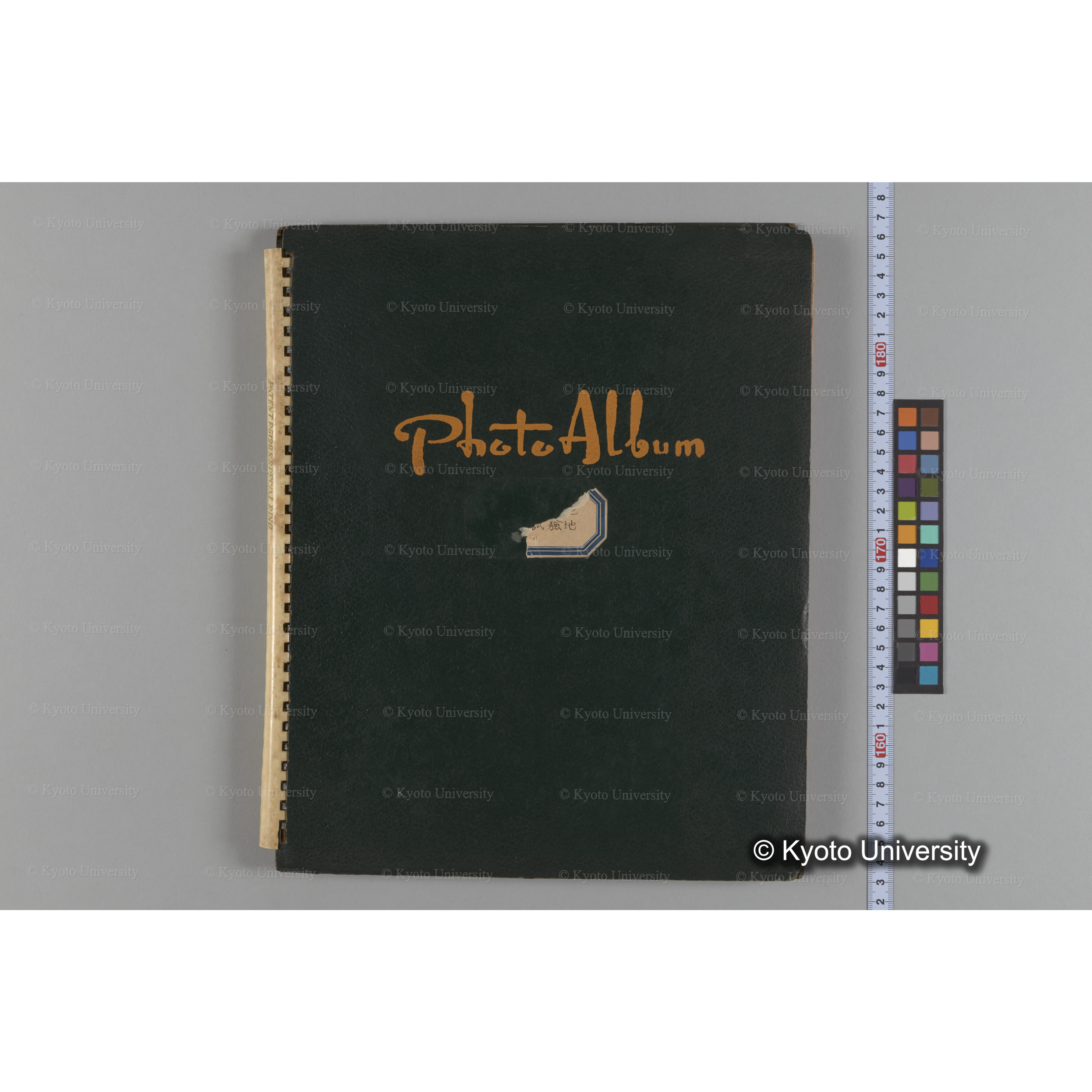 [国内演習林緑アルバム1957(緑色表紙)] PHOTO ALBUM (ラベル)「(破損)[No.4 白浜試験]地 (破損)[徳山]試験地」. (1)