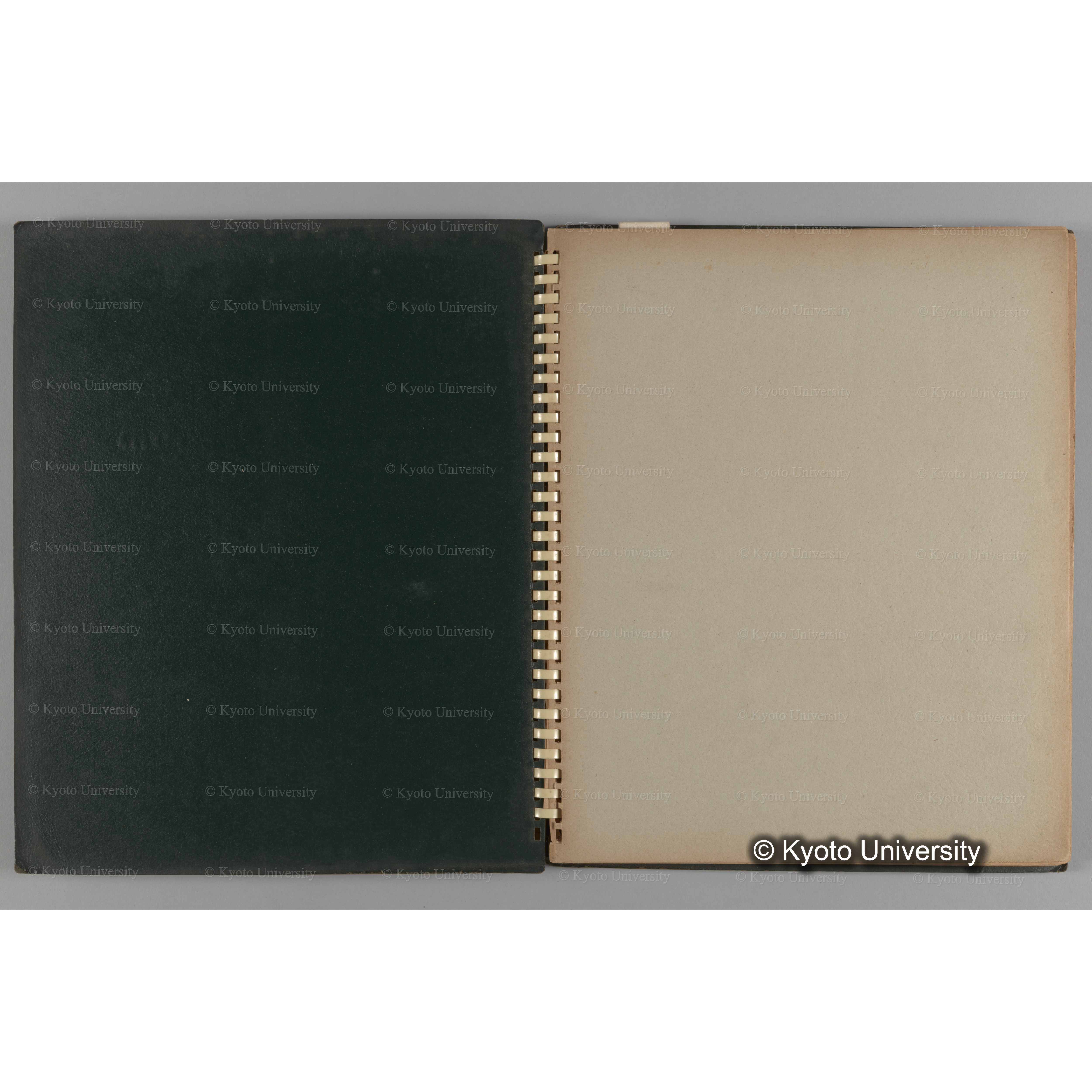 [国内演習林緑アルバム1957(緑色表紙)] PHOTO ALBUM (ラベル)「(破損)[No.4 白浜試験]地 (破損)[徳山]試験地」. (2)