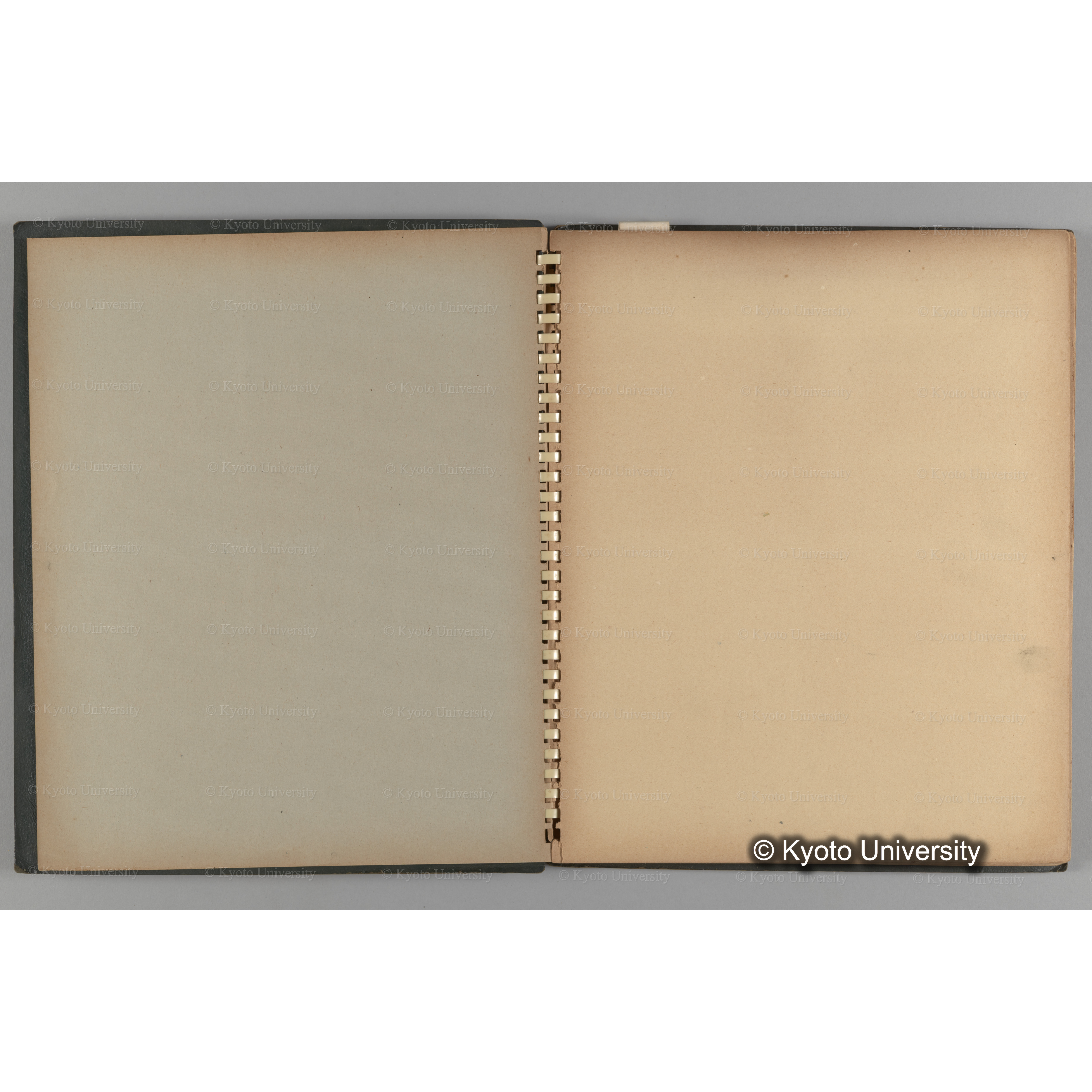 [国内演習林緑アルバム1957(緑色表紙)] PHOTO ALBUM (ラベル)「(破損)[No.4 白浜試験]地 (破損)[徳山]試験地」. (3)