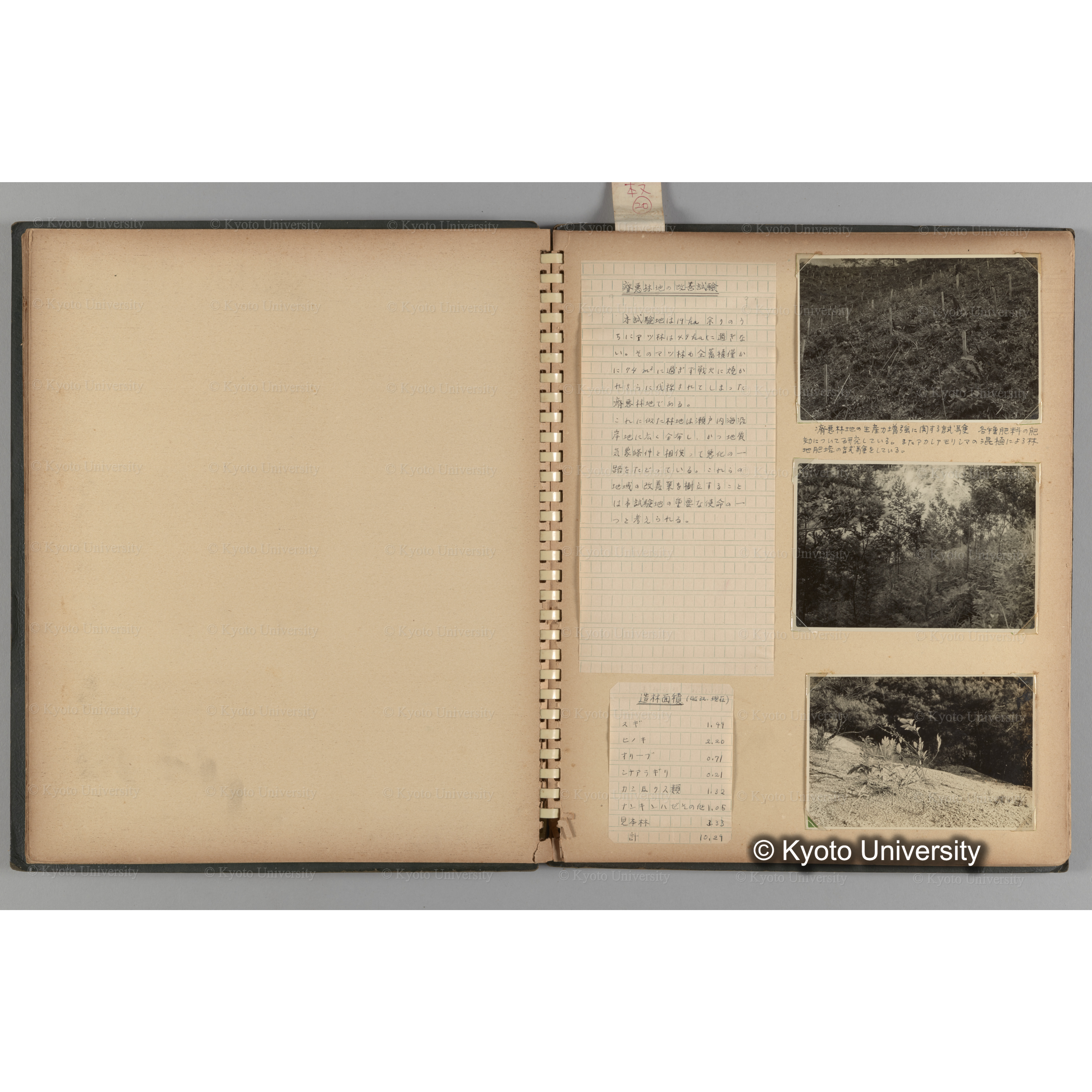 [国内演習林緑アルバム1957(緑色表紙)] PHOTO ALBUM (ラベル)「(破損)[No.4 白浜試験]地 (破損)[徳山]試験地」. (7)