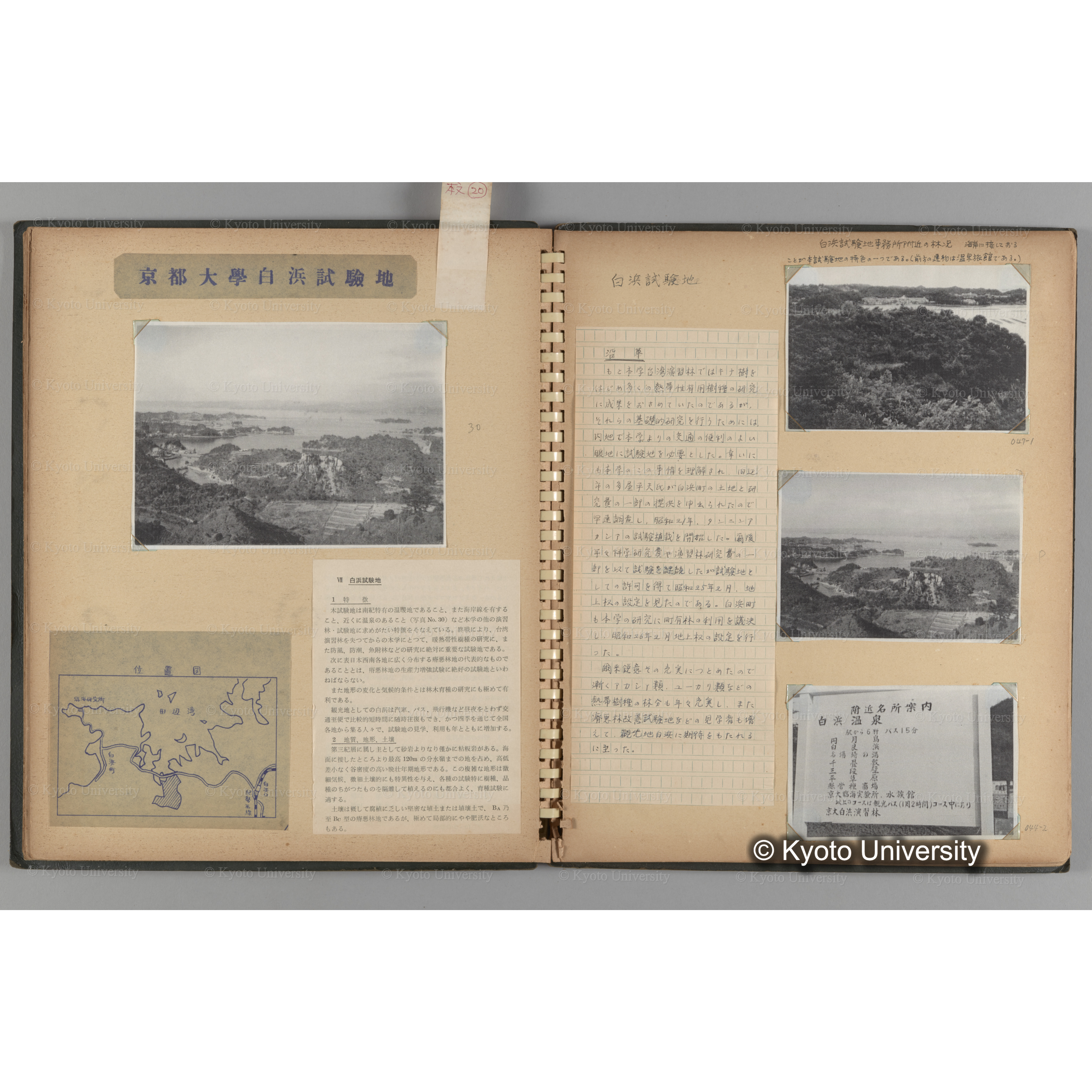 [国内演習林緑アルバム1957(緑色表紙)] PHOTO ALBUM (ラベル)「(破損)[No.4 白浜試験]地 (破損)[徳山]試験地」. (8)